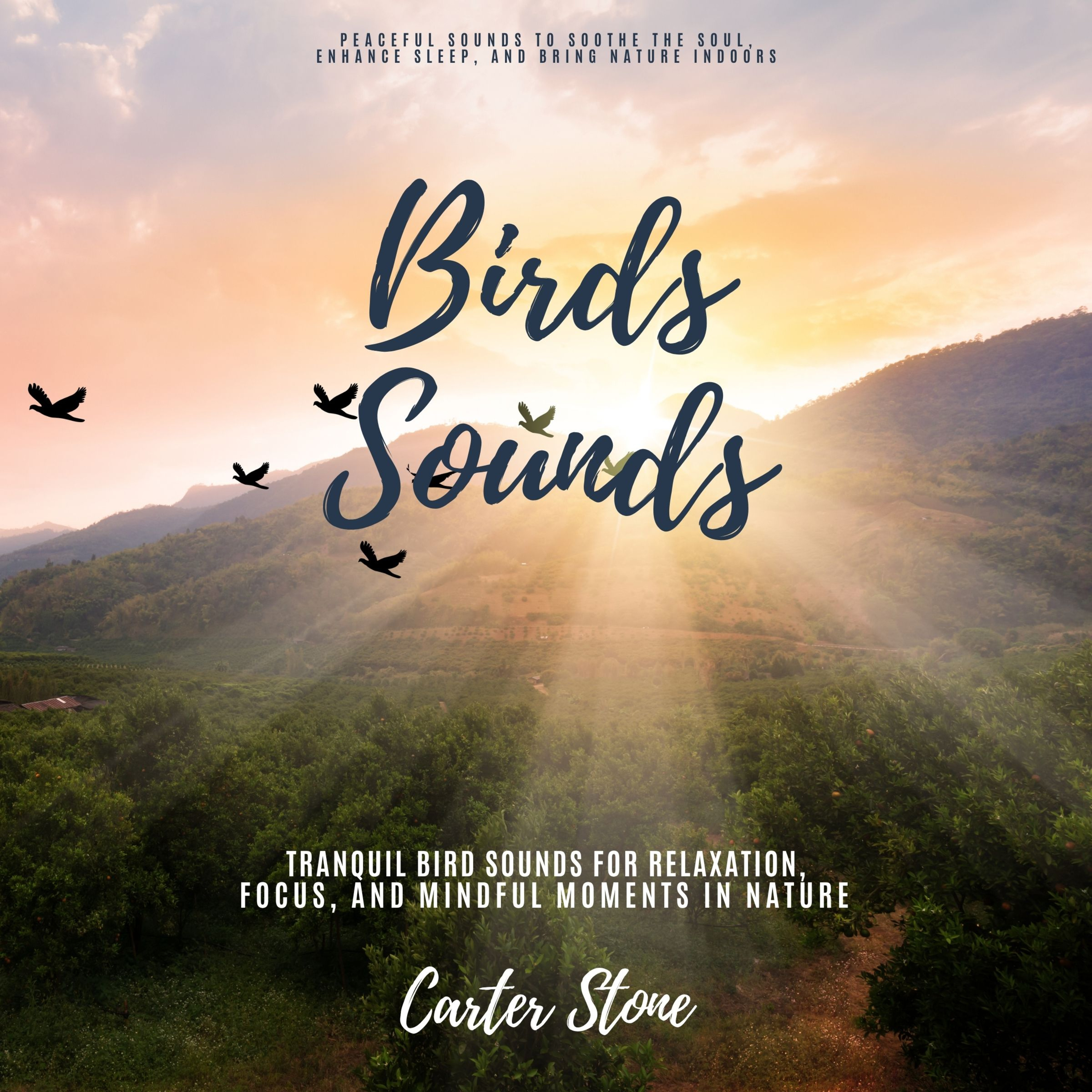 Birds Sounds: Tranquil Birdsong for Relaxation, Focus, and Mindful Moments in Nature (Peaceful Sounds to Soothe the Soul, Enhance Sleep, and Bring Nature Indoors) episode artwork