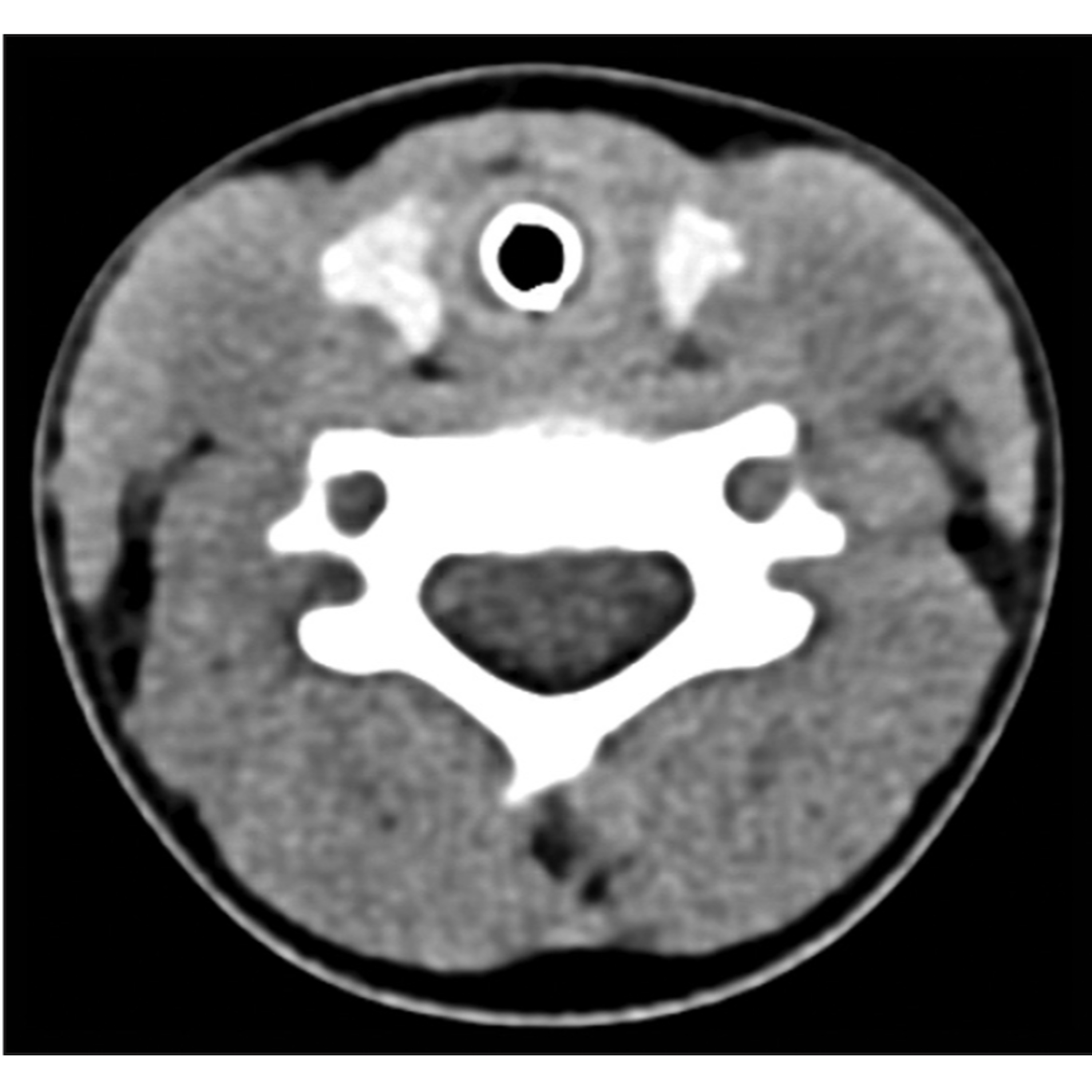 Simple Science Deep Dive