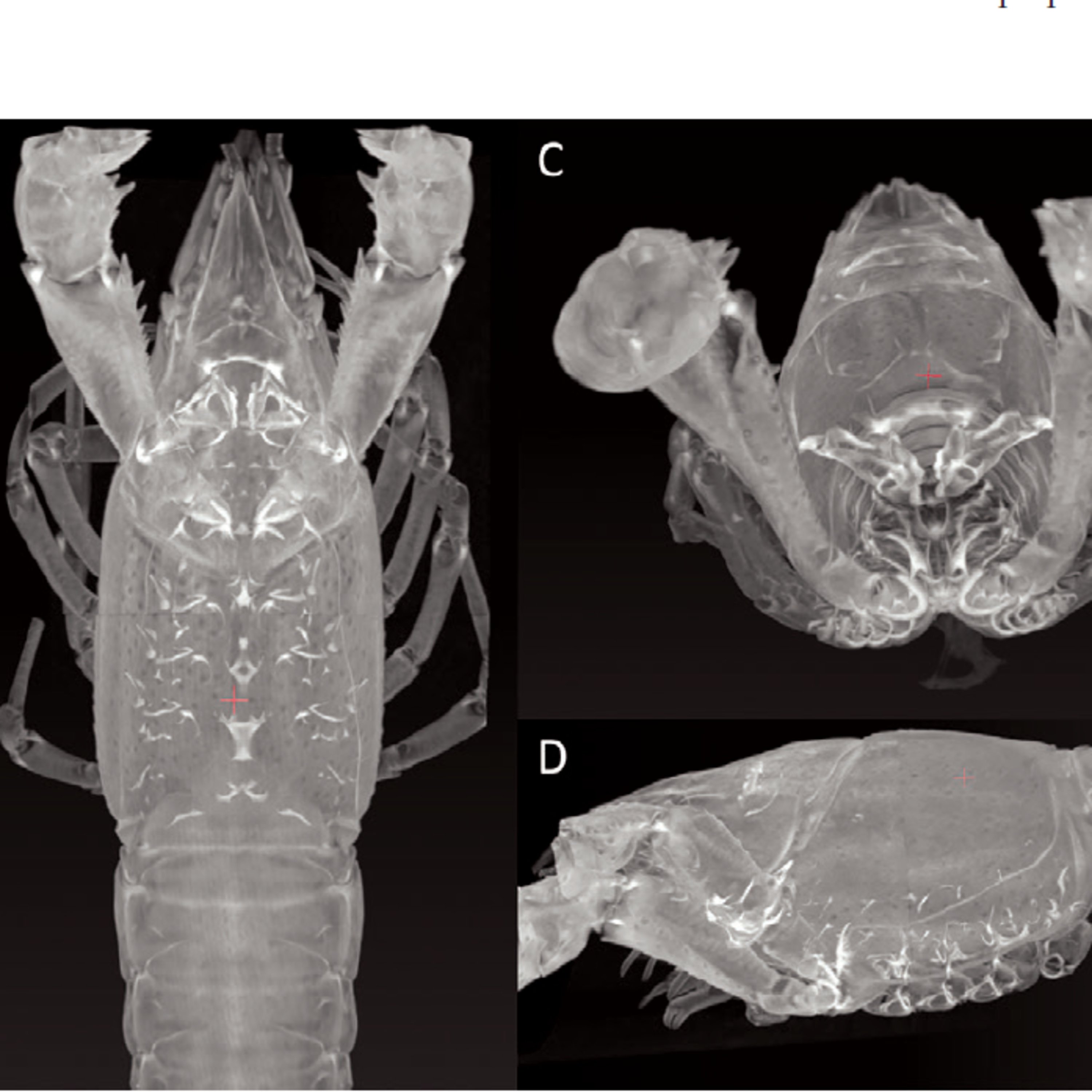 Simple Science Deep Dive