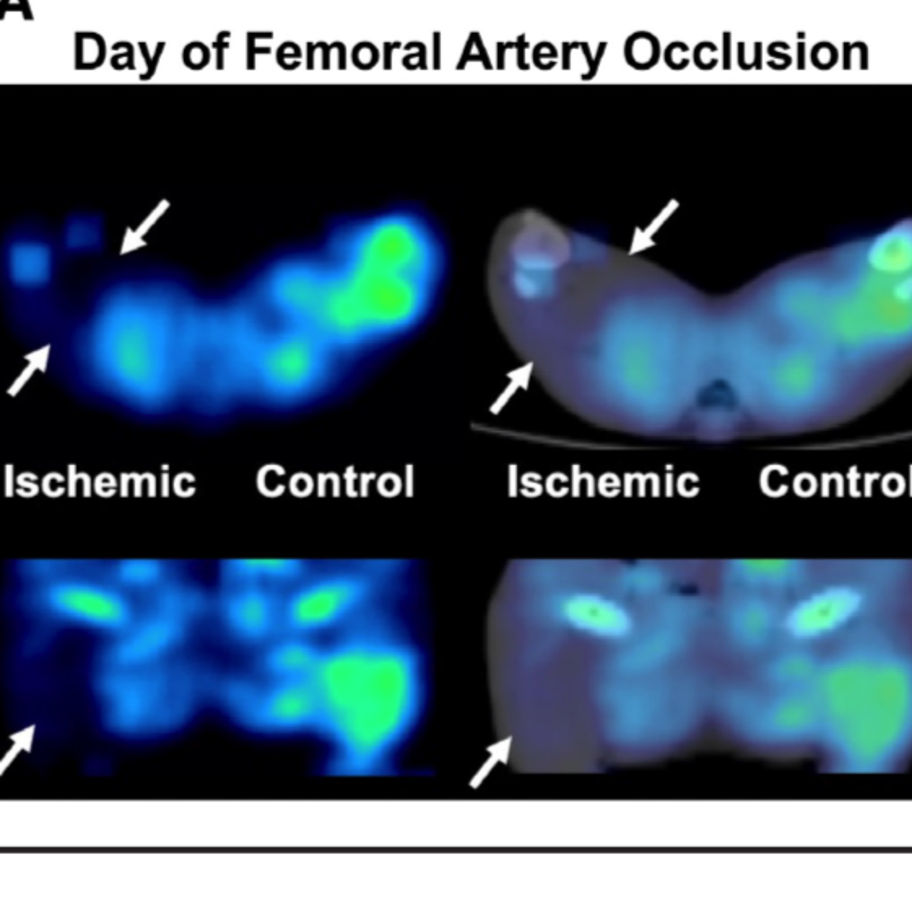 Simple Science Deep Dive