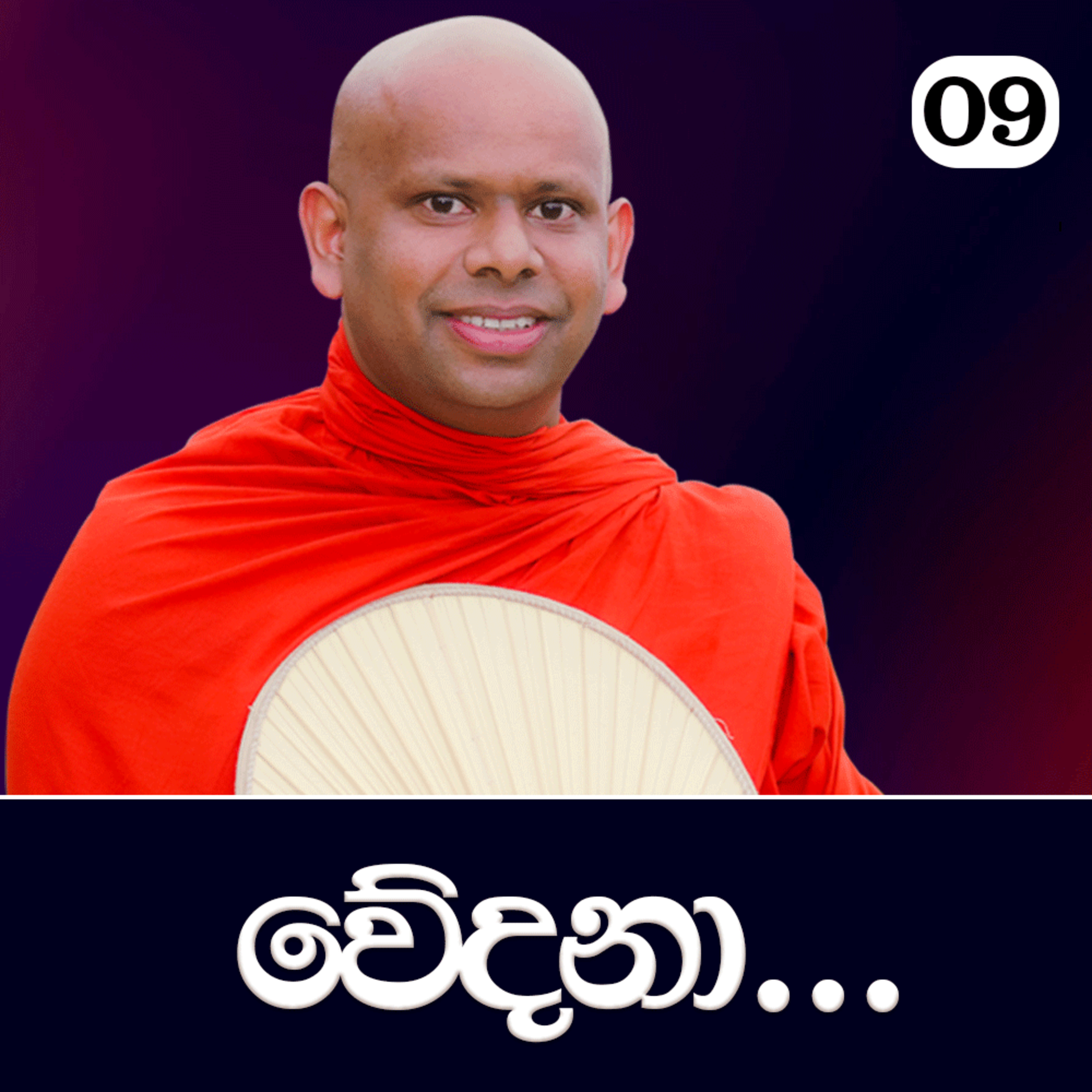 09. වේදනා.. | පටිච්ච සමුප්පාදය ඉගෙන ගමු | Ven. Welimada Saddaseela Thero episode artwork