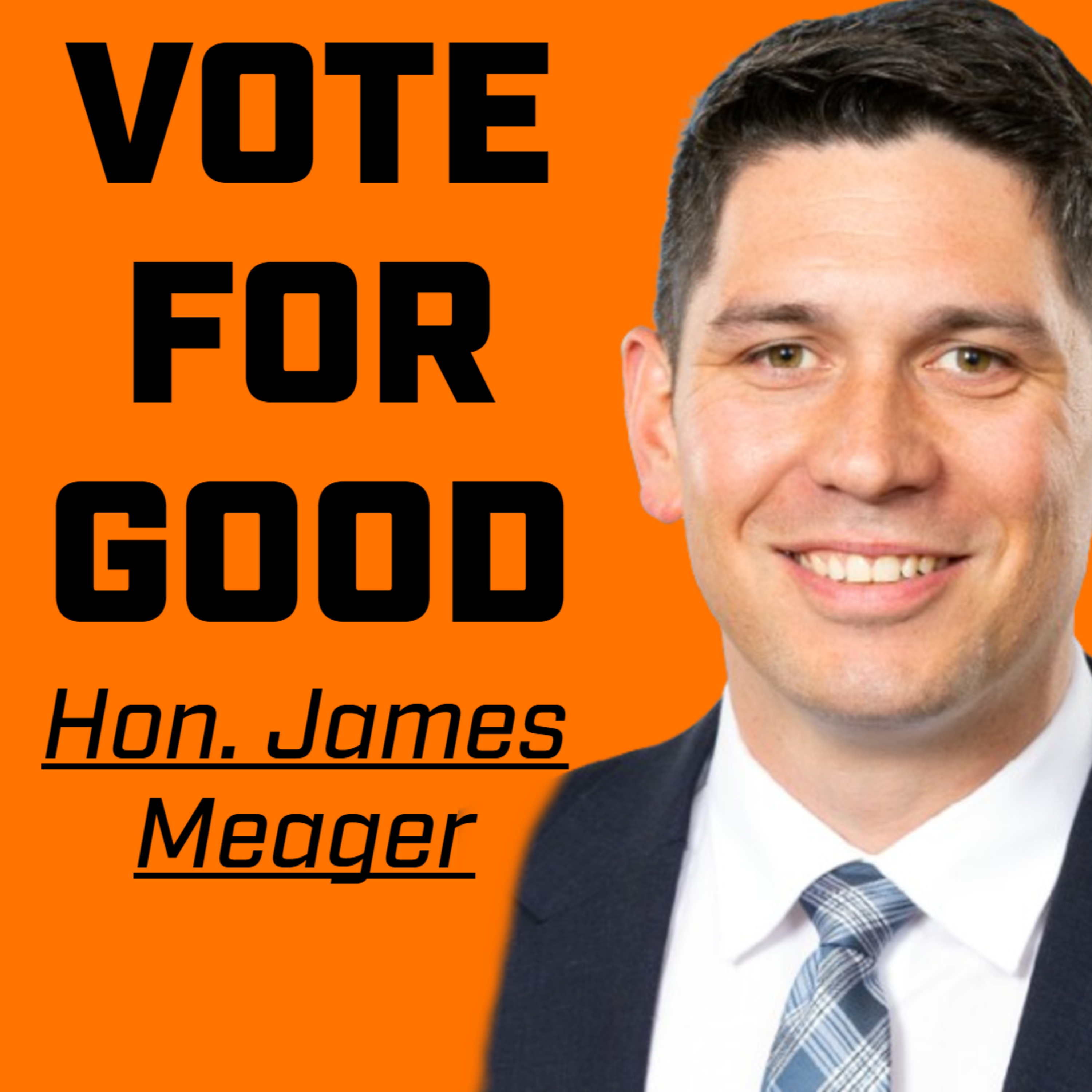 Nobody's Perfect - Hon. James Meager episode artwork