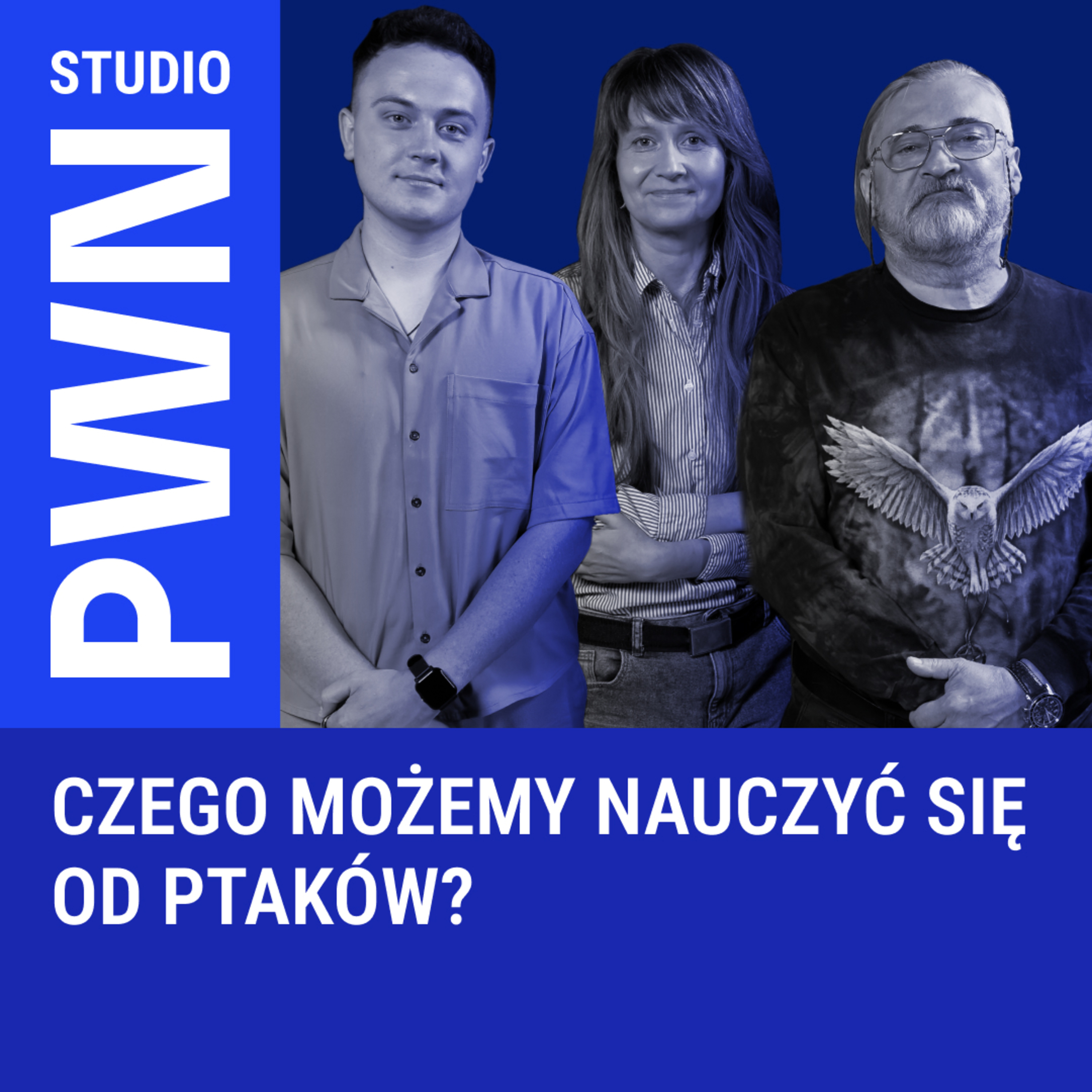 PWN Studio