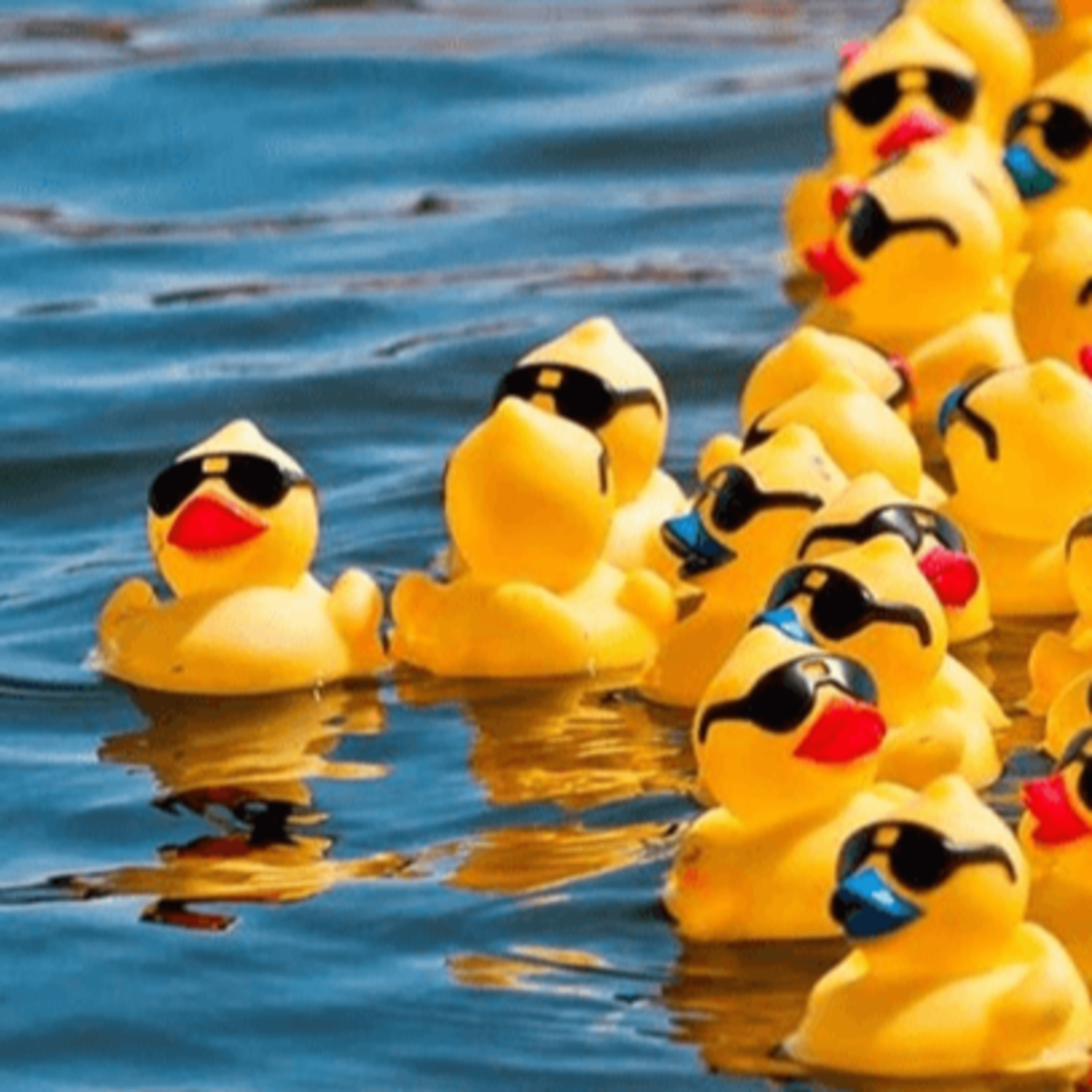 Ten ($) Ducky Derby episode artwork