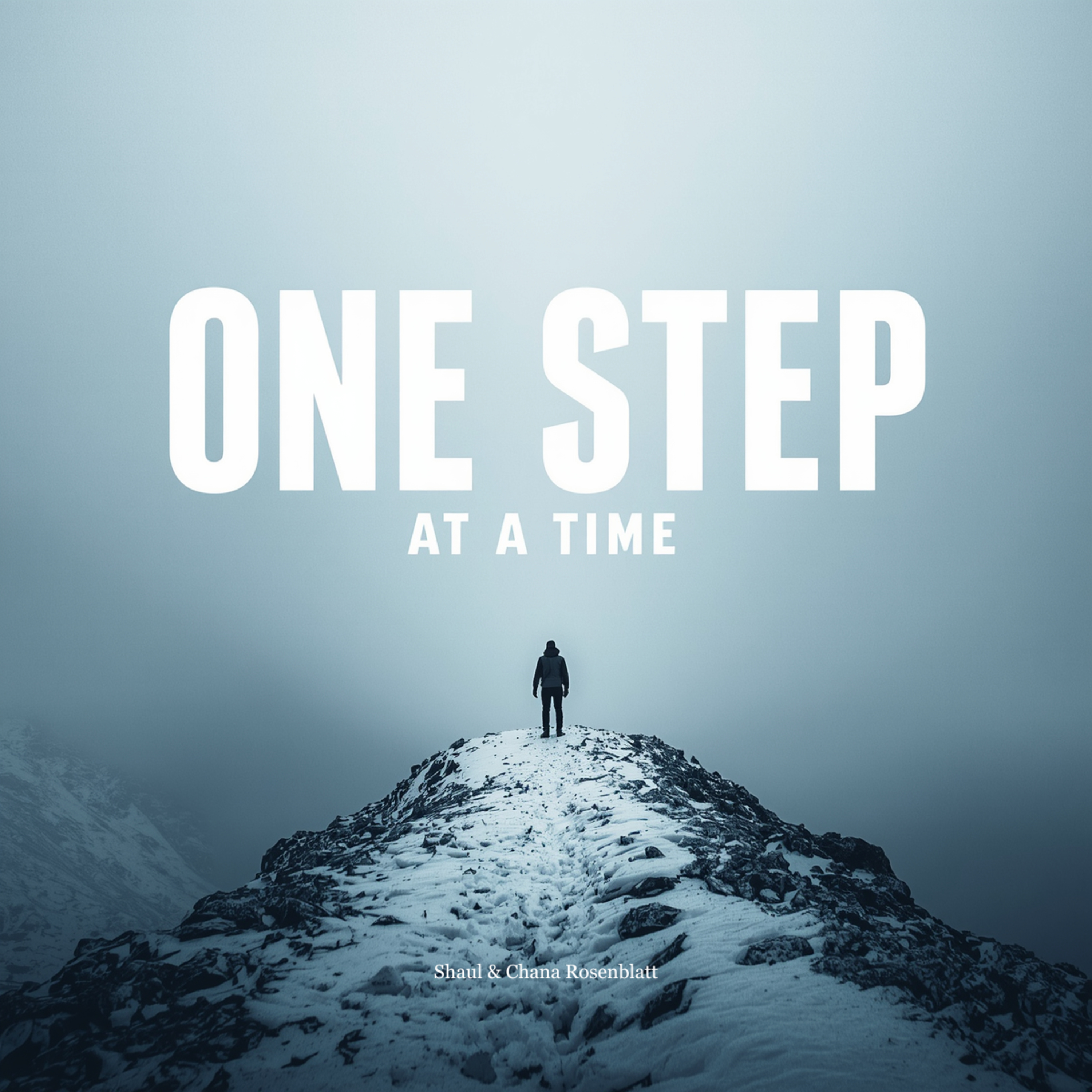 One Step At A Time episode artwork