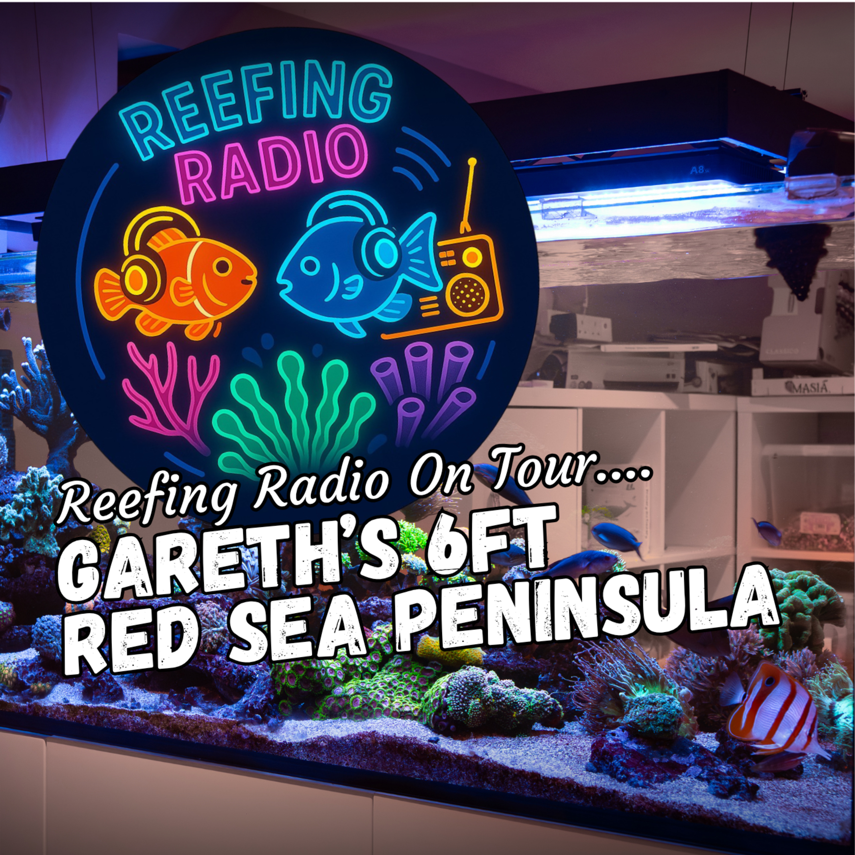 Reefing Radio
