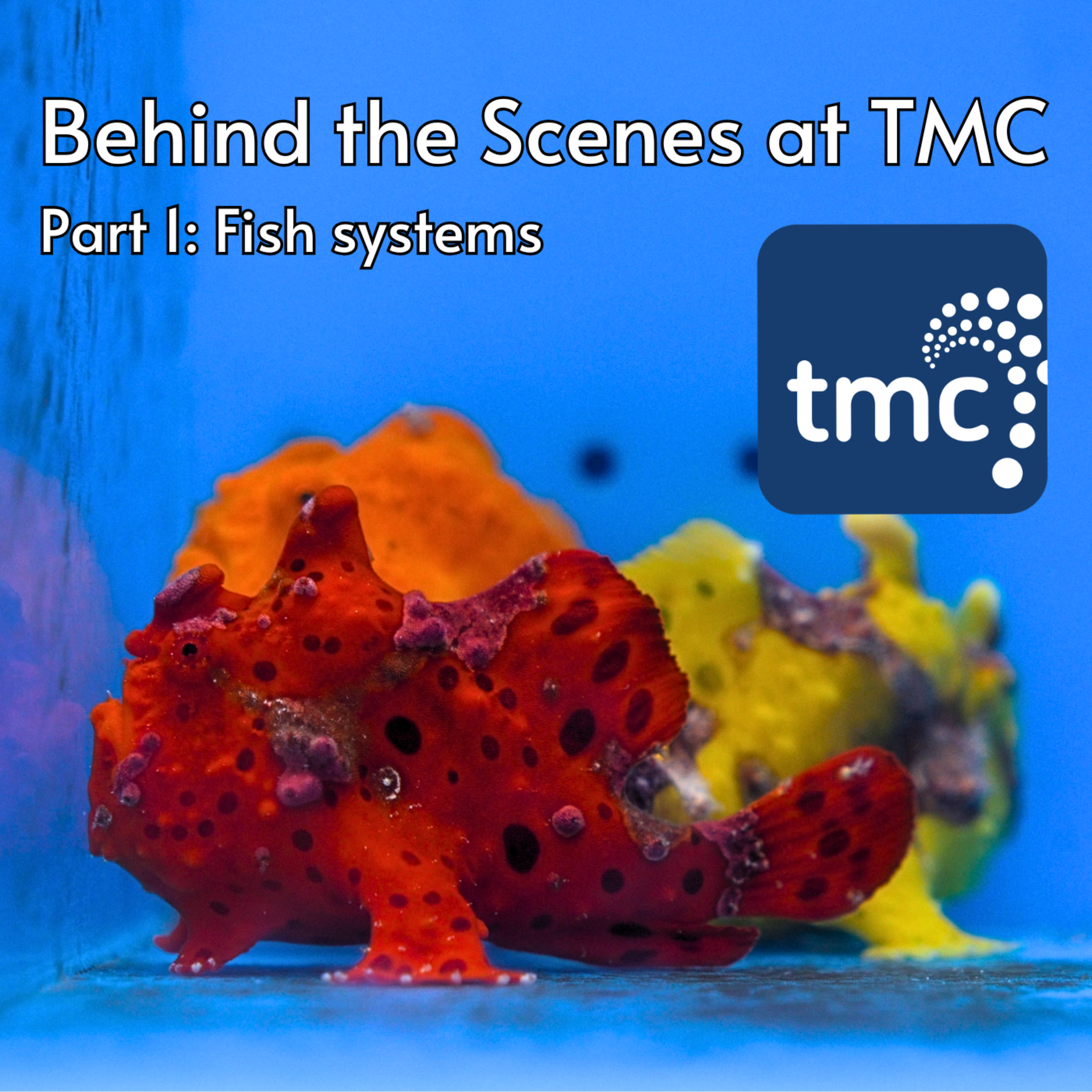 Behind the Scenes at TMC with CEO Brian Schaff | Part 1: Fish Systems episode artwork