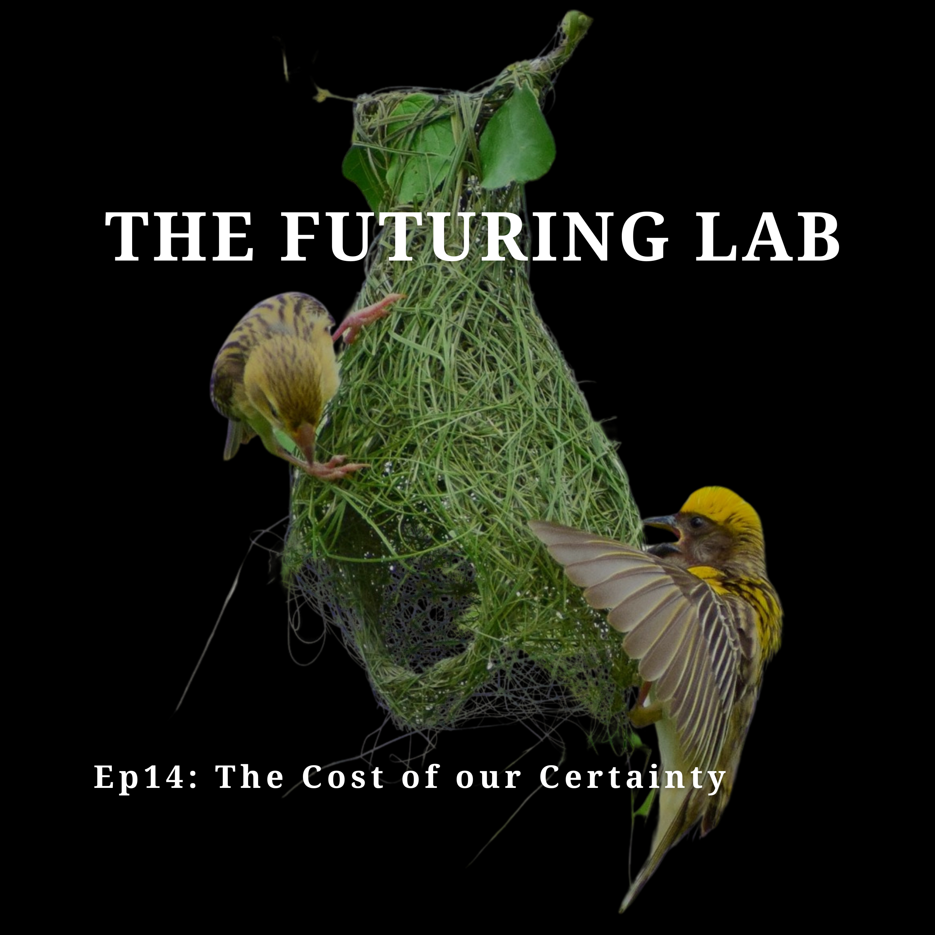 The Futuring Lab