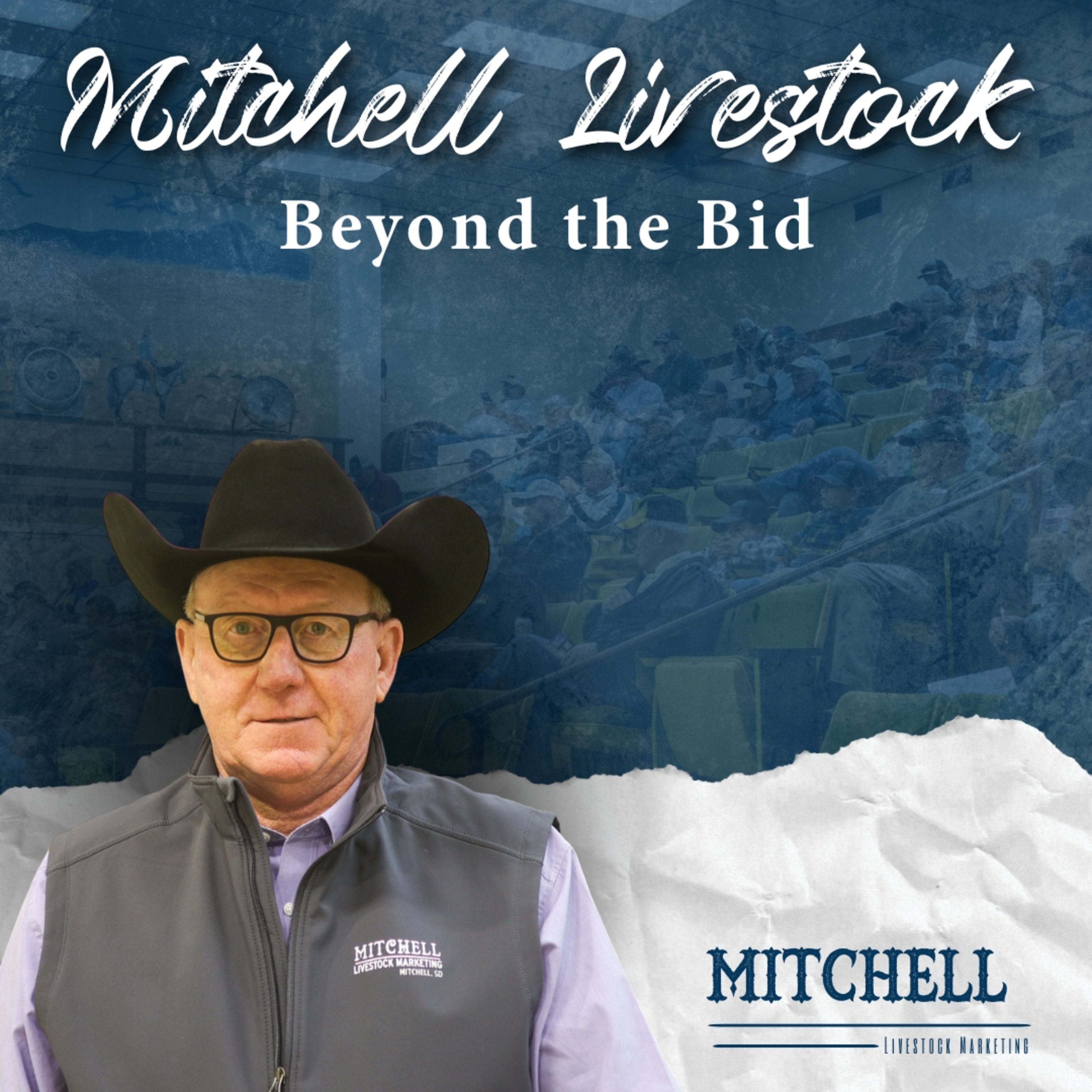 February 7th Early Consignments - Special Bred Cow and Heifer Sale episode artwork