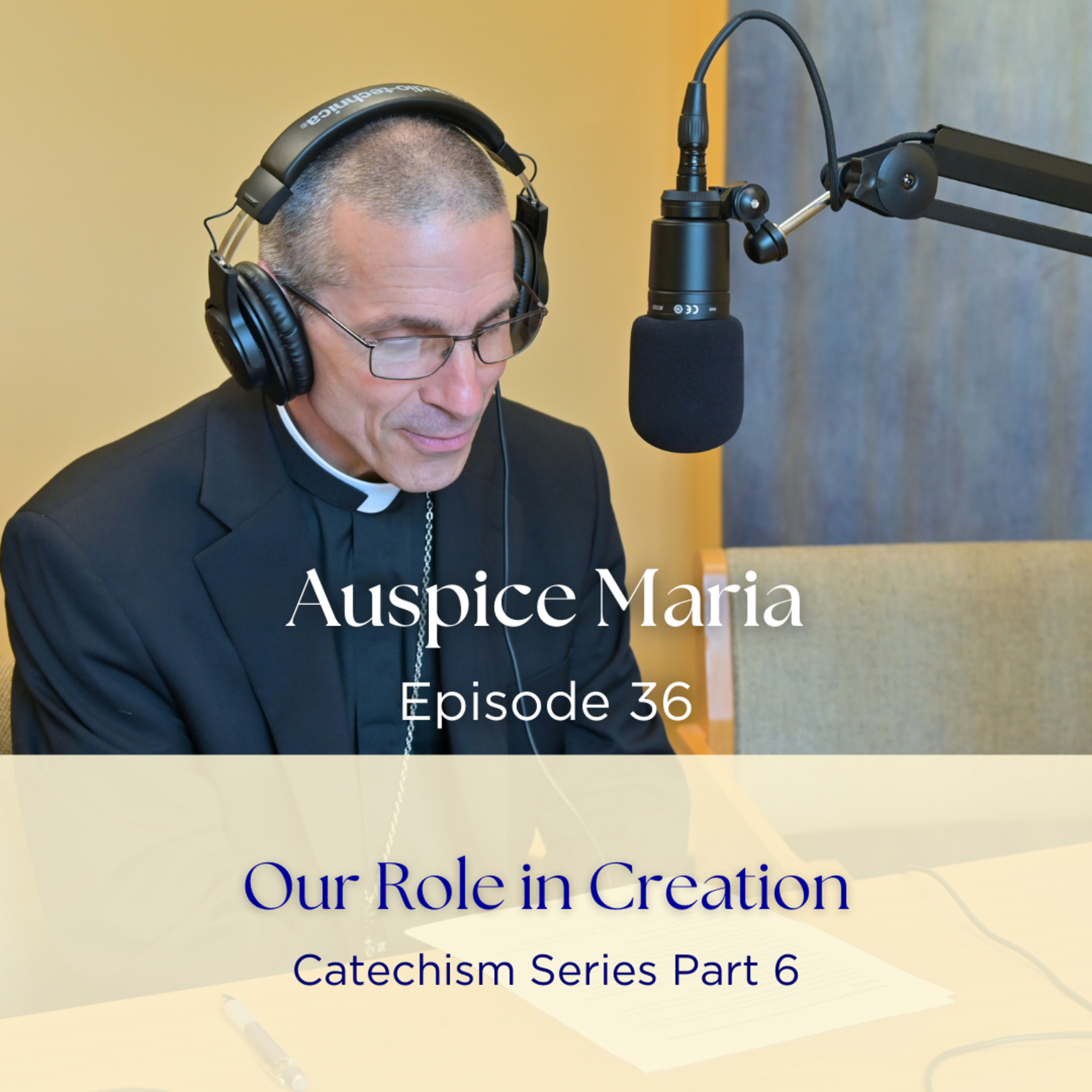 Our Role in Creation (Catechism Series Part 6) - Auspice Maria Ep 36 with Bishop James Ruggieri episode artwork