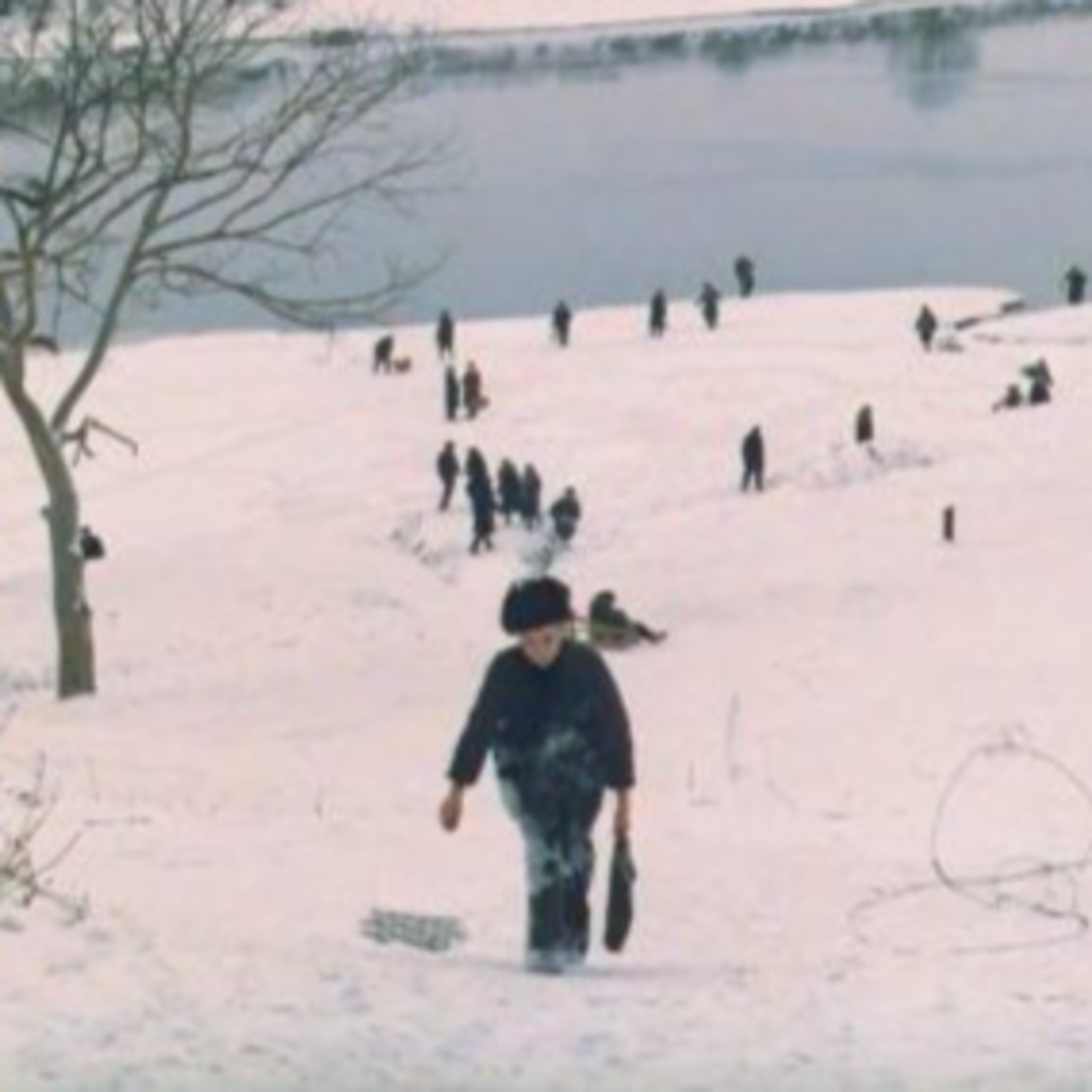 Cine en versión familiar