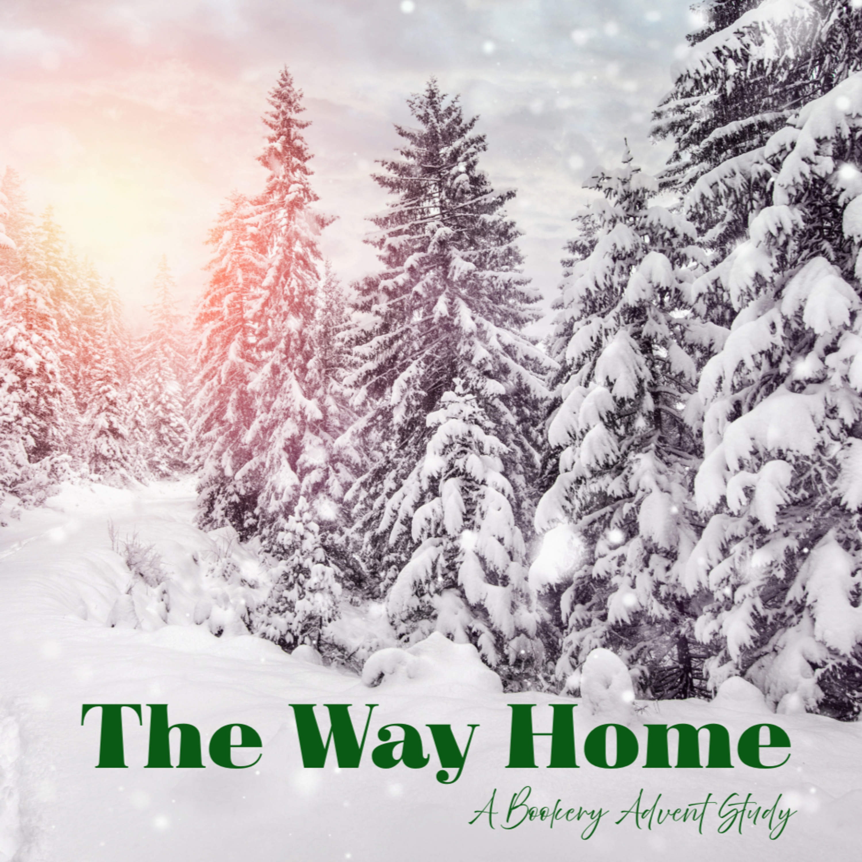 The Way Home Advent 2025 Week 1 Recap episode artwork
