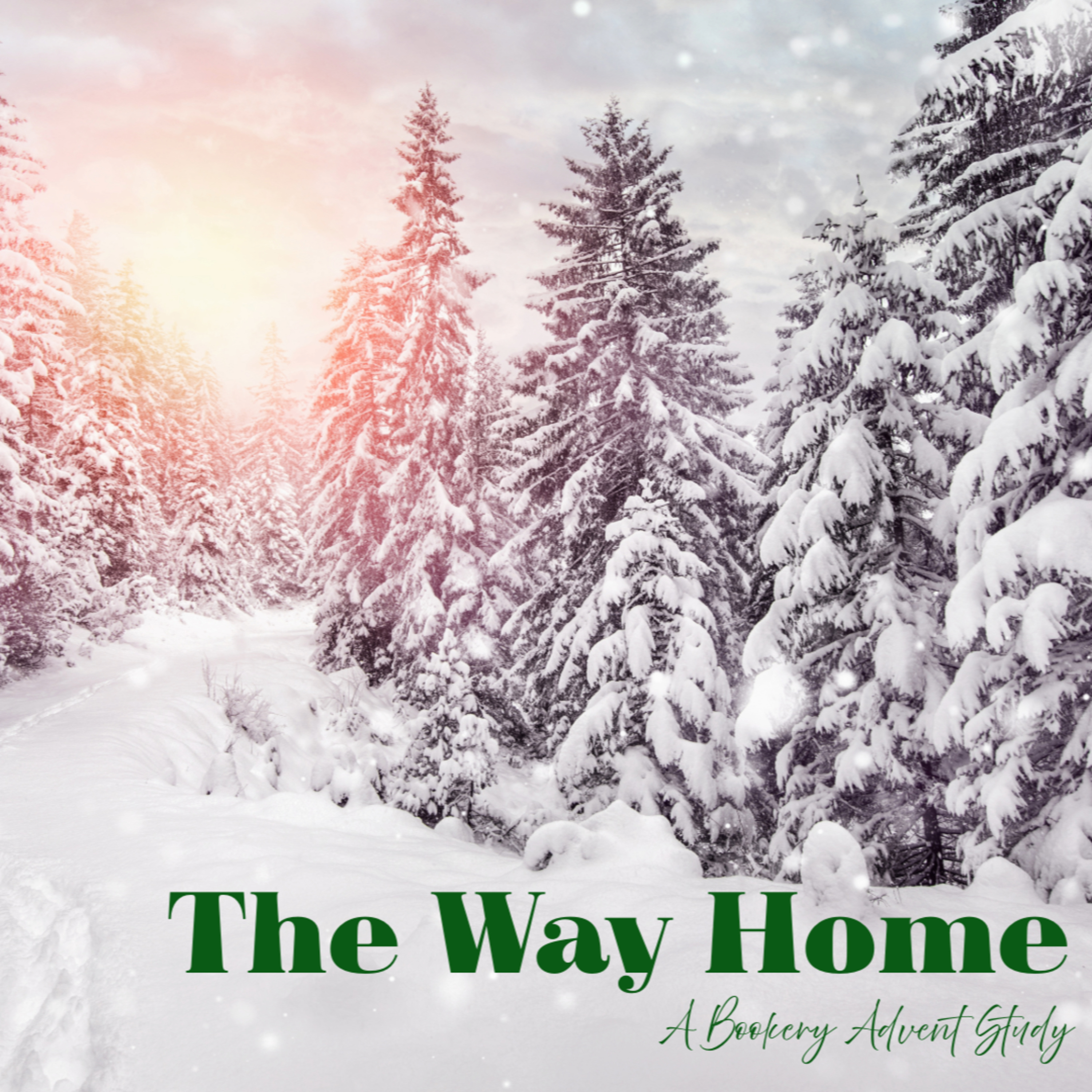 The Way Home Advent Week 2 Opening Meditation episode artwork
