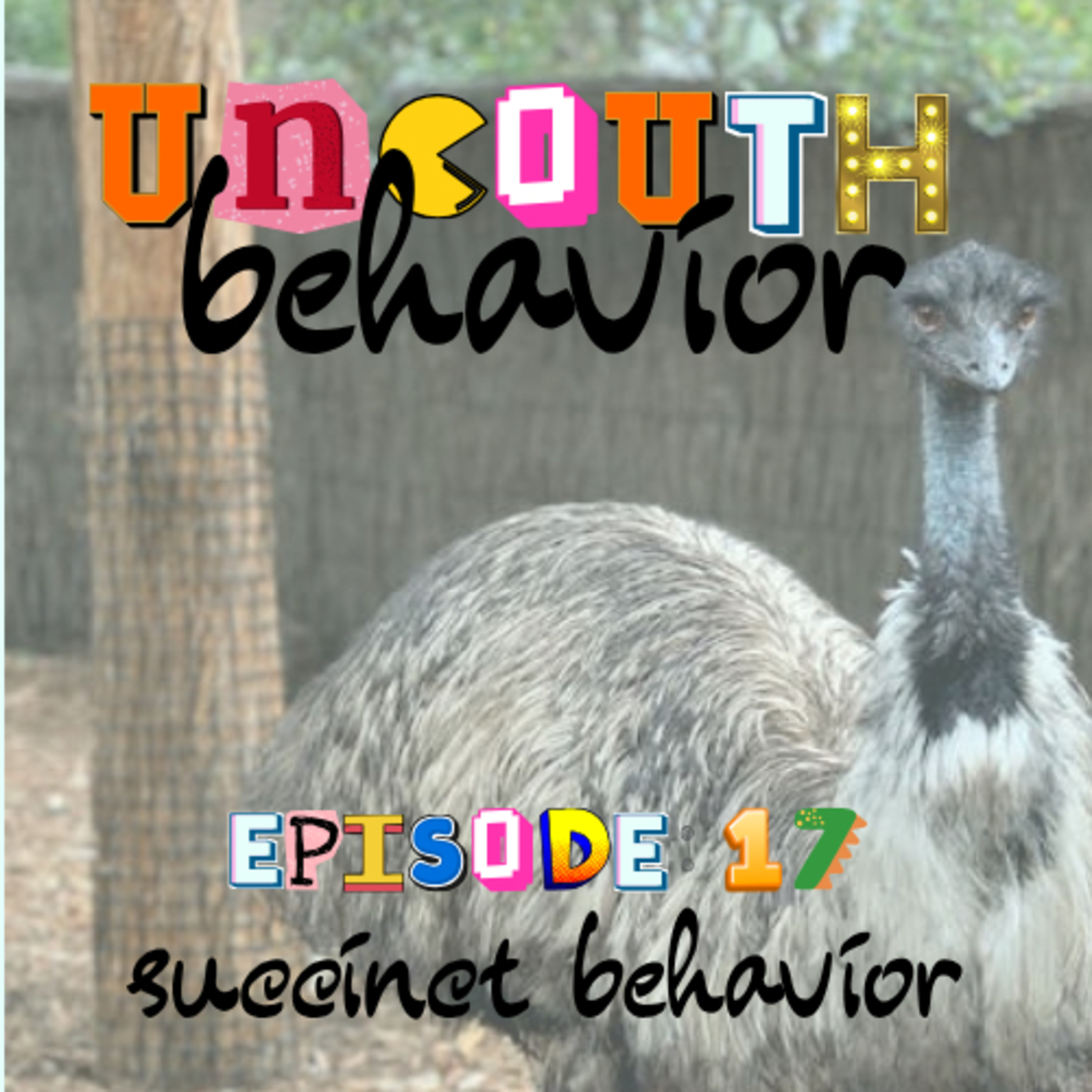 Episode 17: Succinct Behavior episode artwork