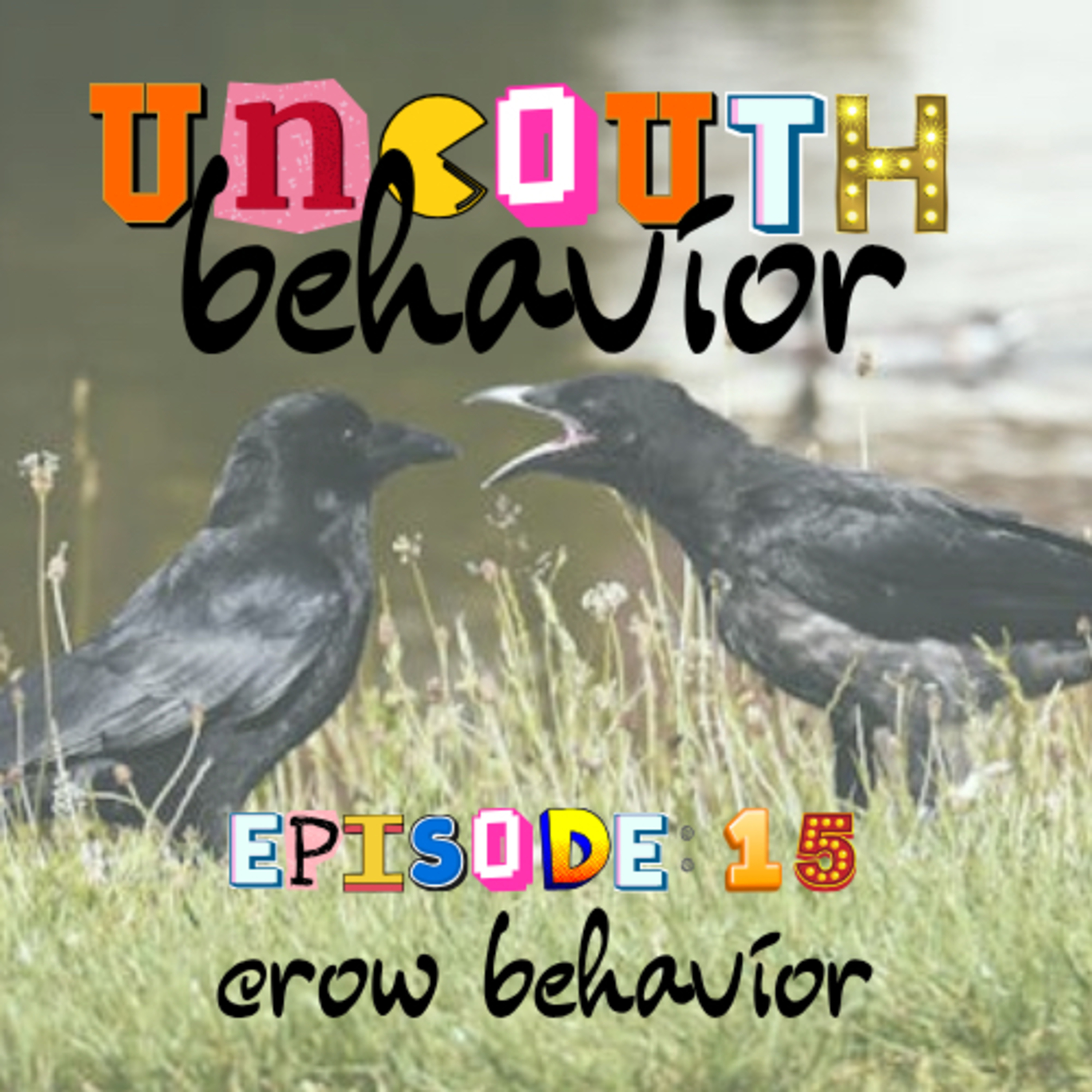 Episode 15: Crow Behavior episode artwork