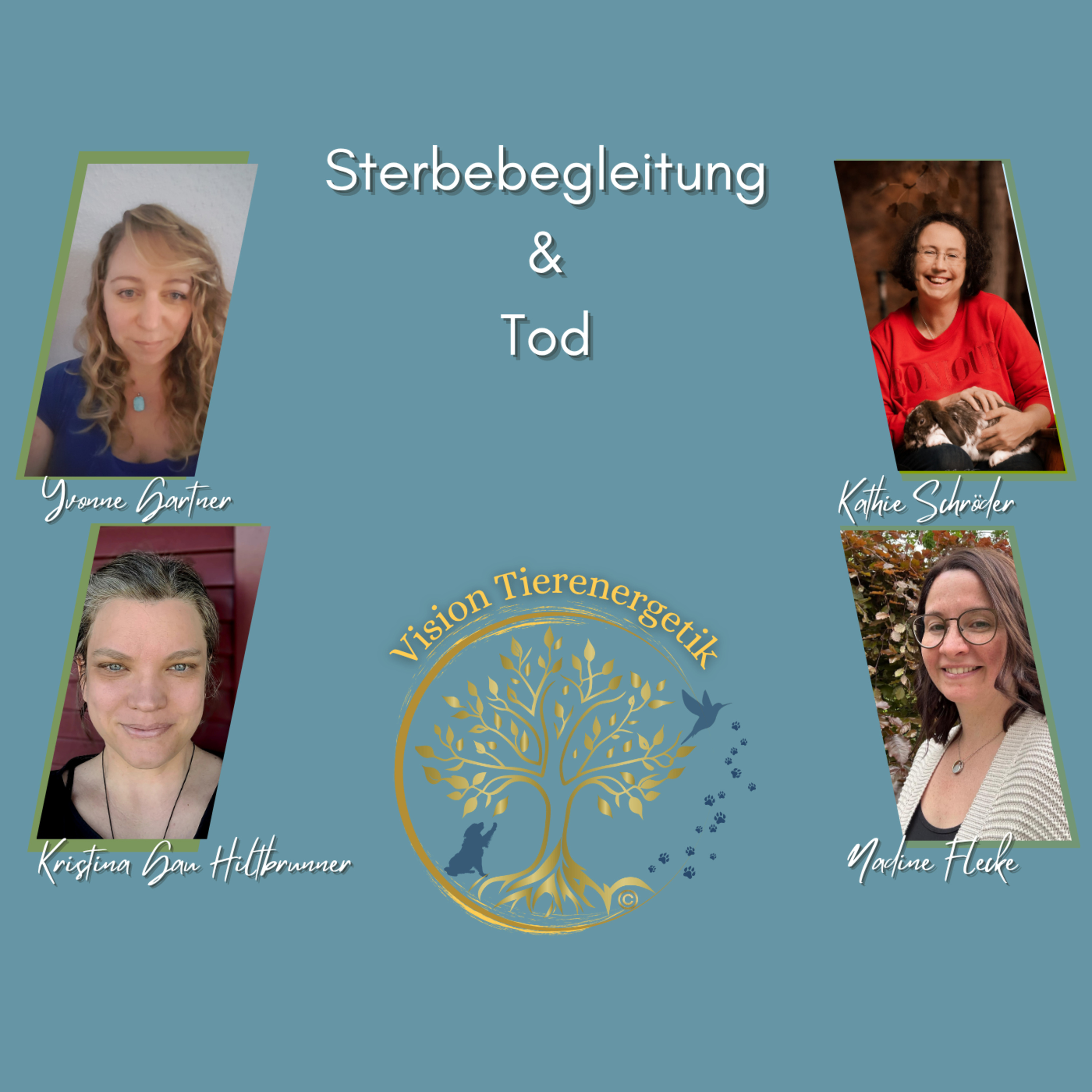 Vision Tierenergetik Podcast