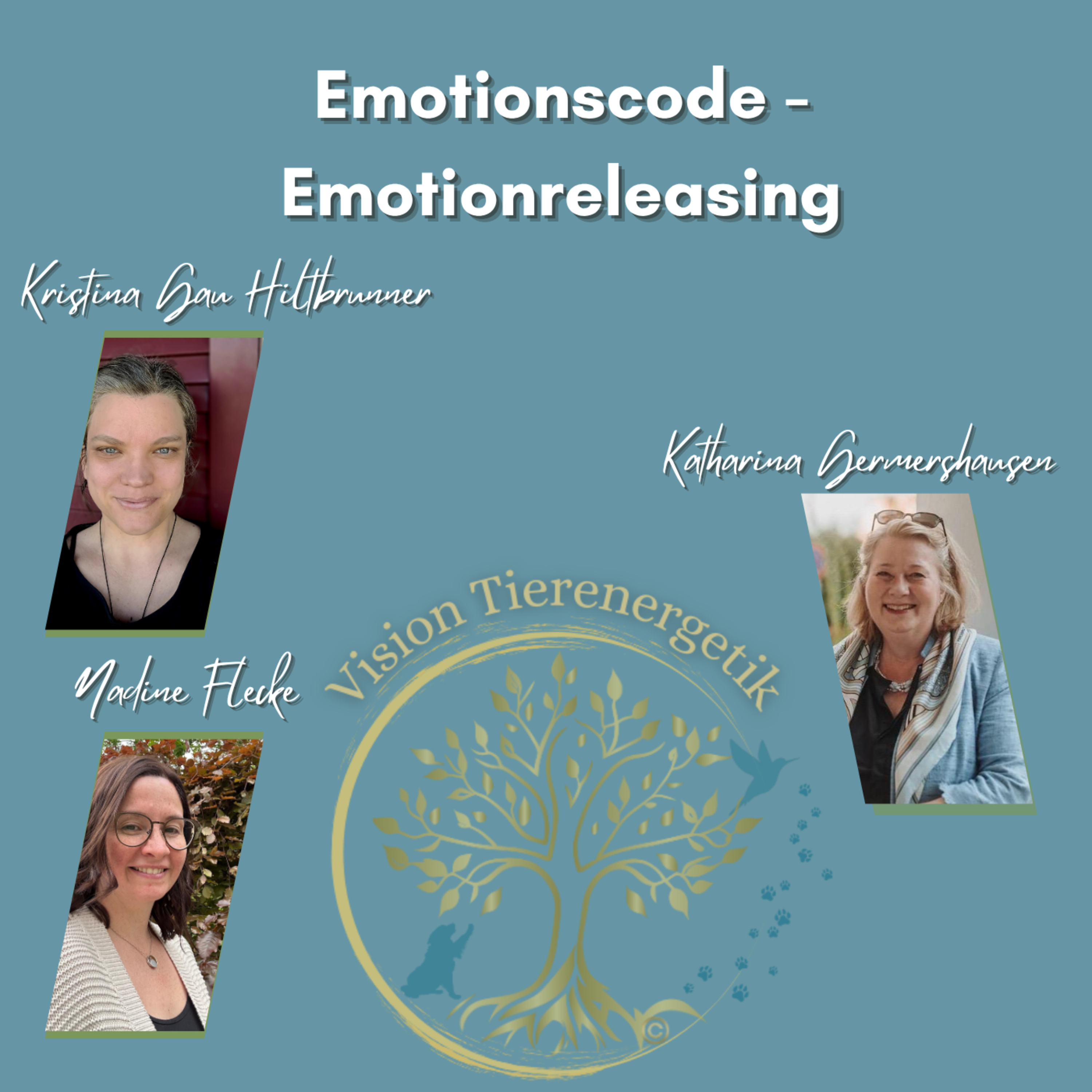 Vision Tierenergetik Podcast