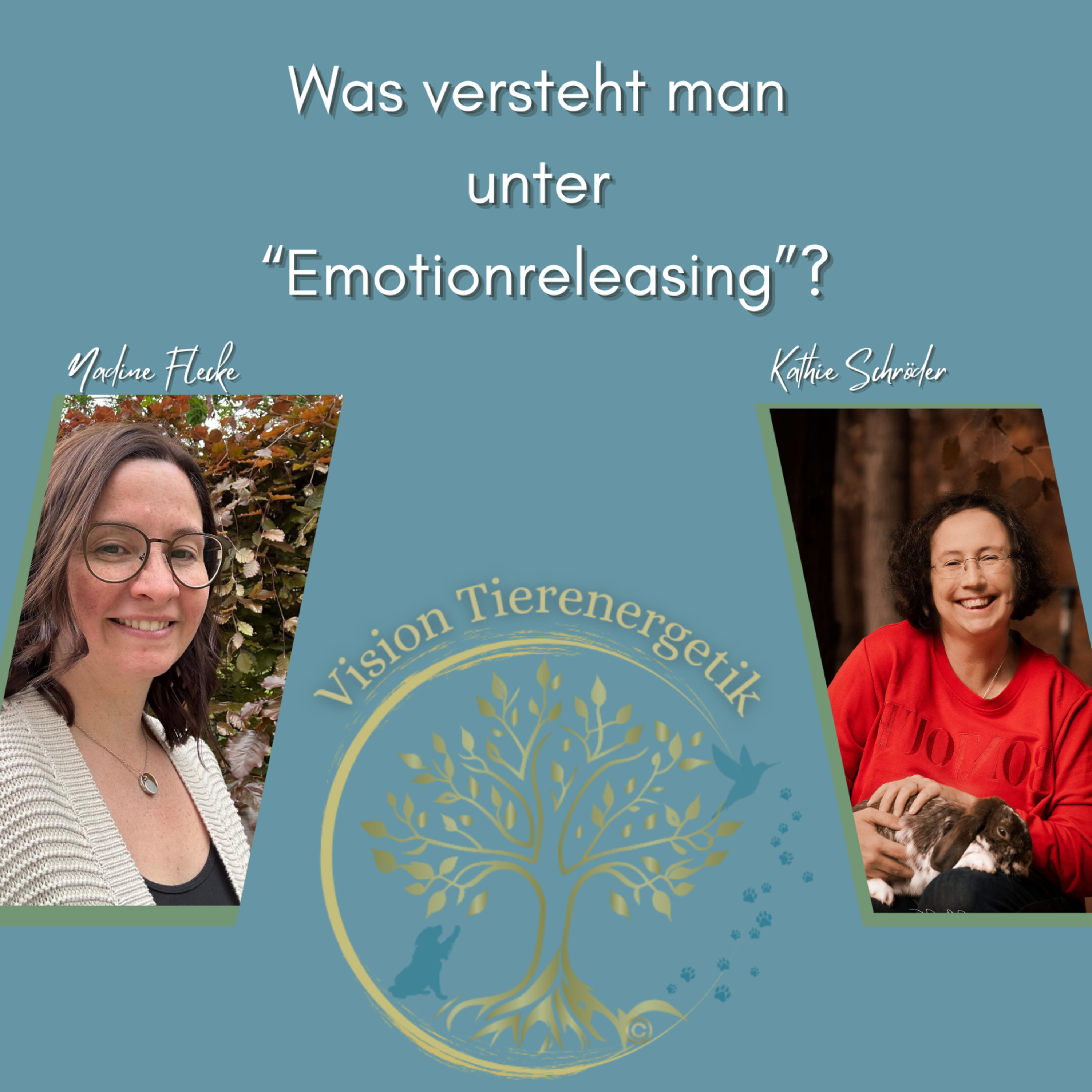 Vision Tierenergetik Podcast