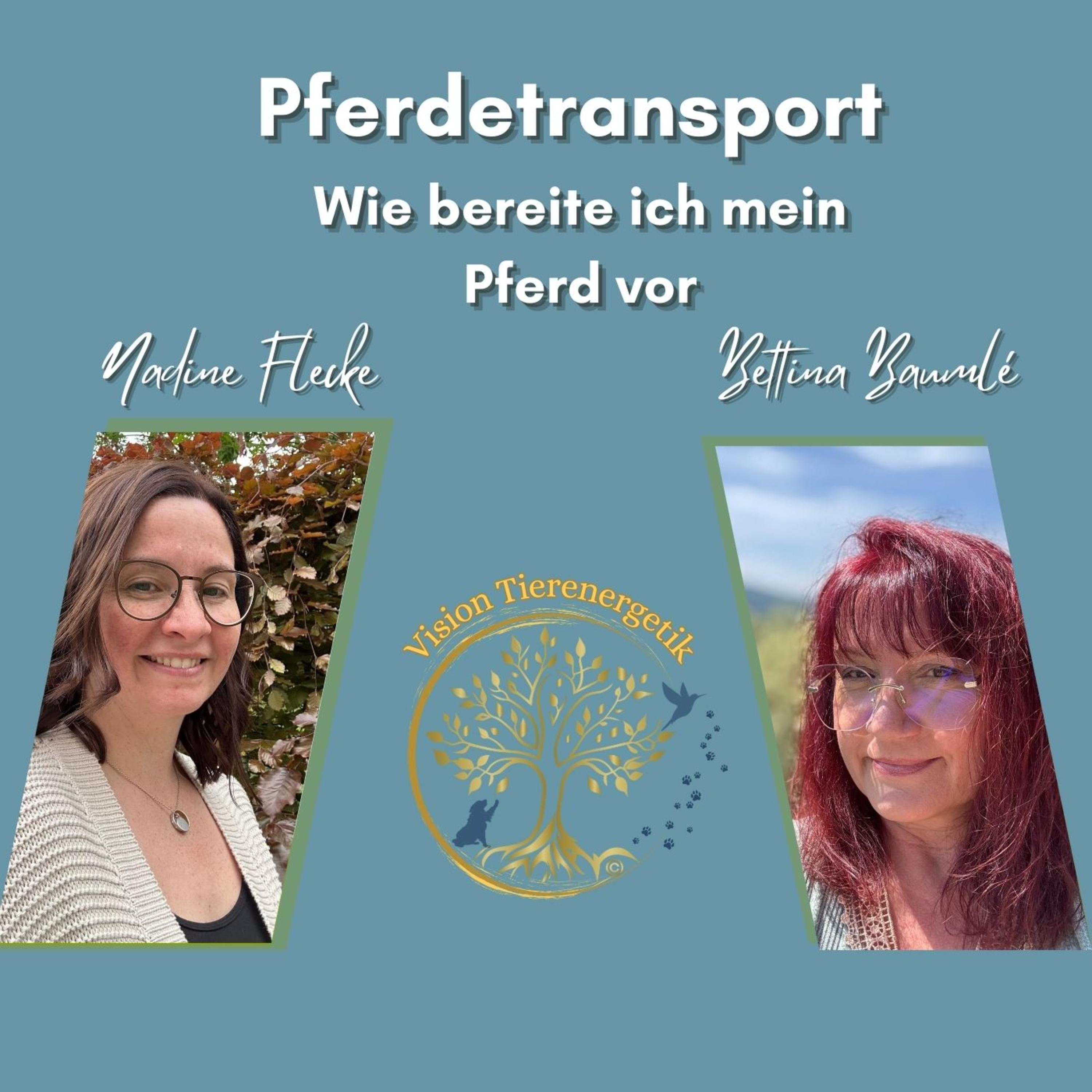 Vision Tierenergetik Podcast