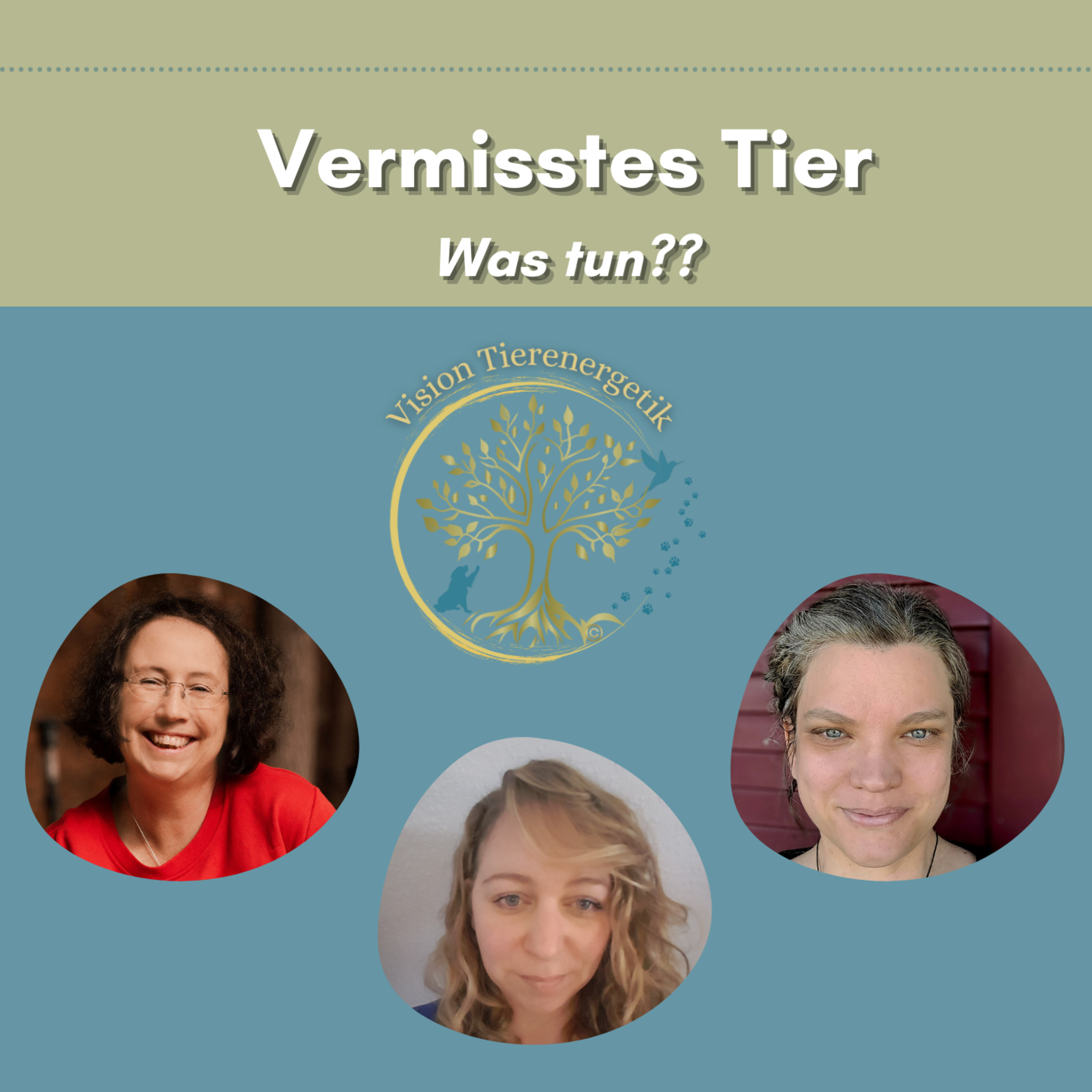 Vision Tierenergetik Podcast