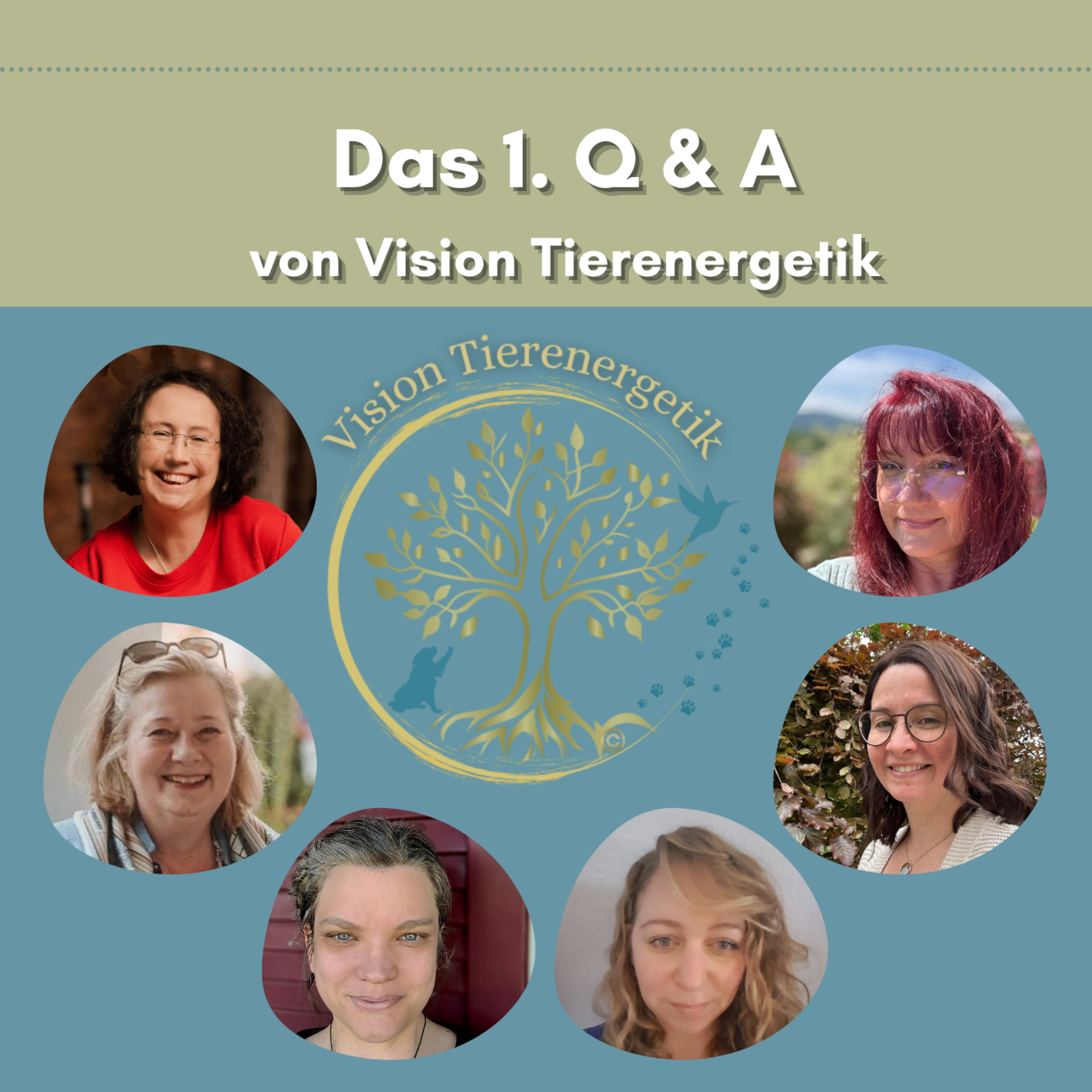 Vision Tierenergetik Podcast