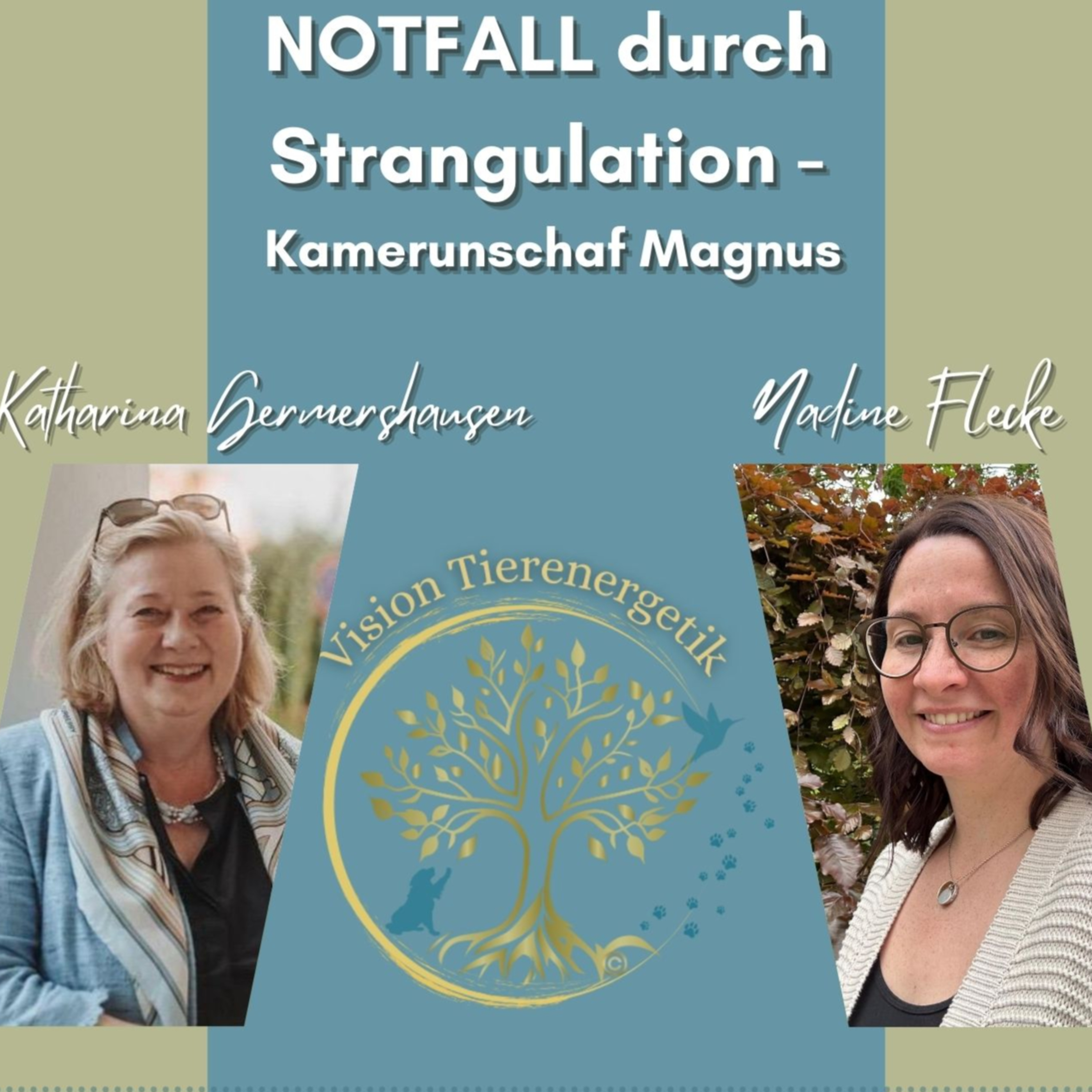 Vision Tierenergetik Podcast