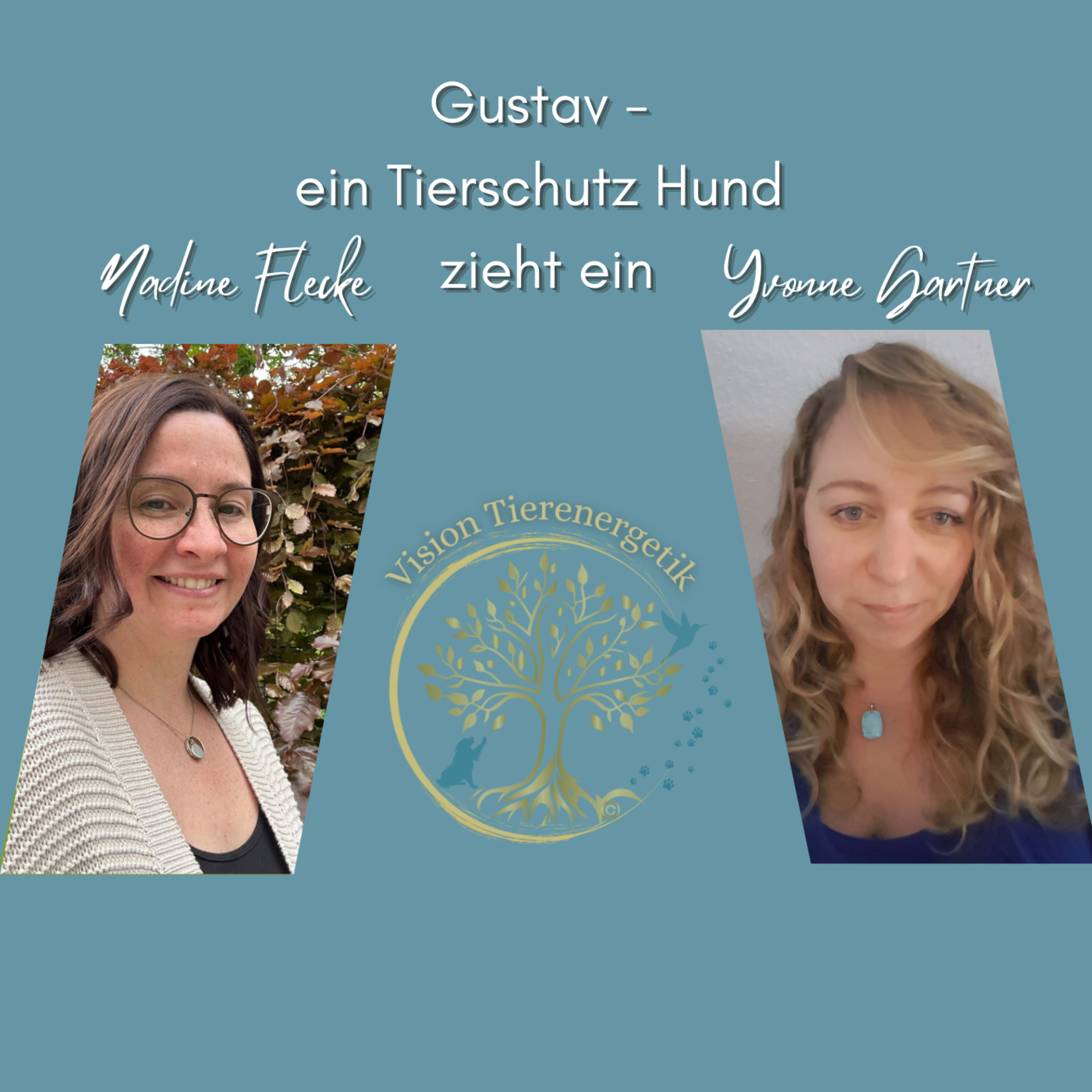 Vision Tierenergetik Podcast