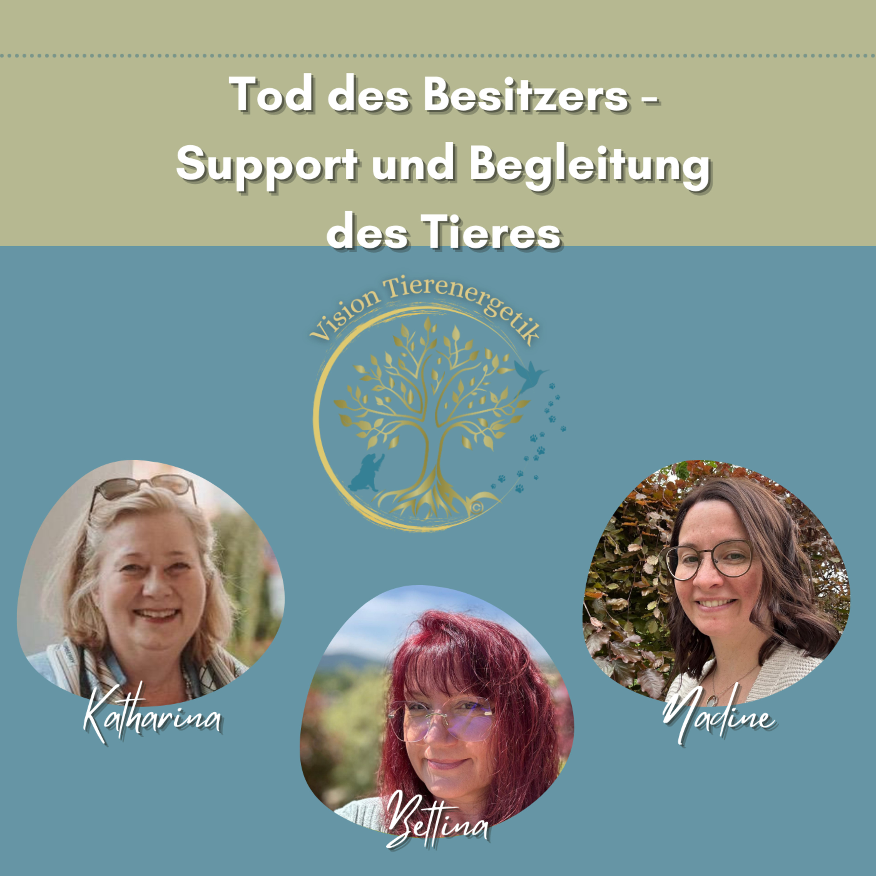 Vision Tierenergetik Podcast
