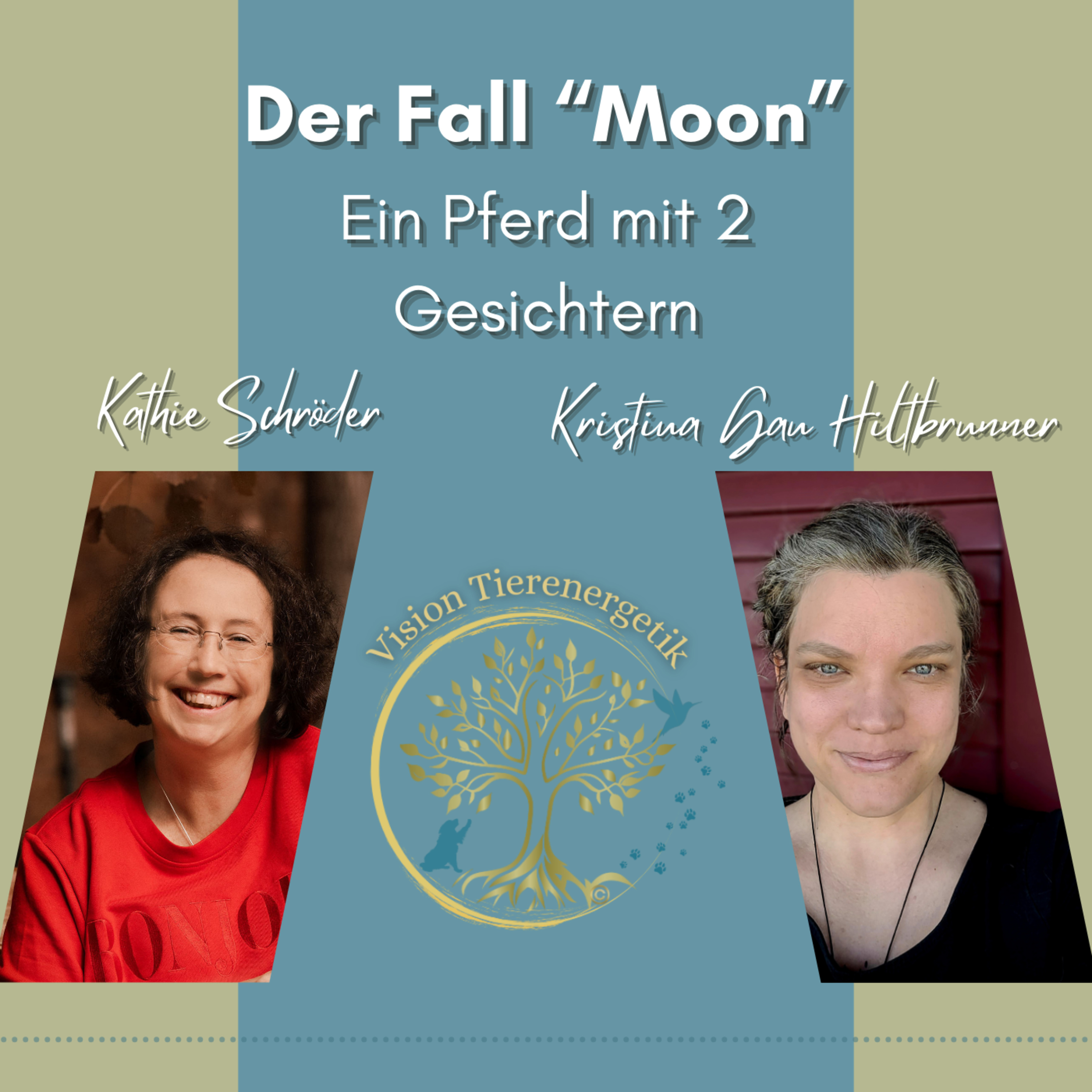 Vision Tierenergetik Podcast