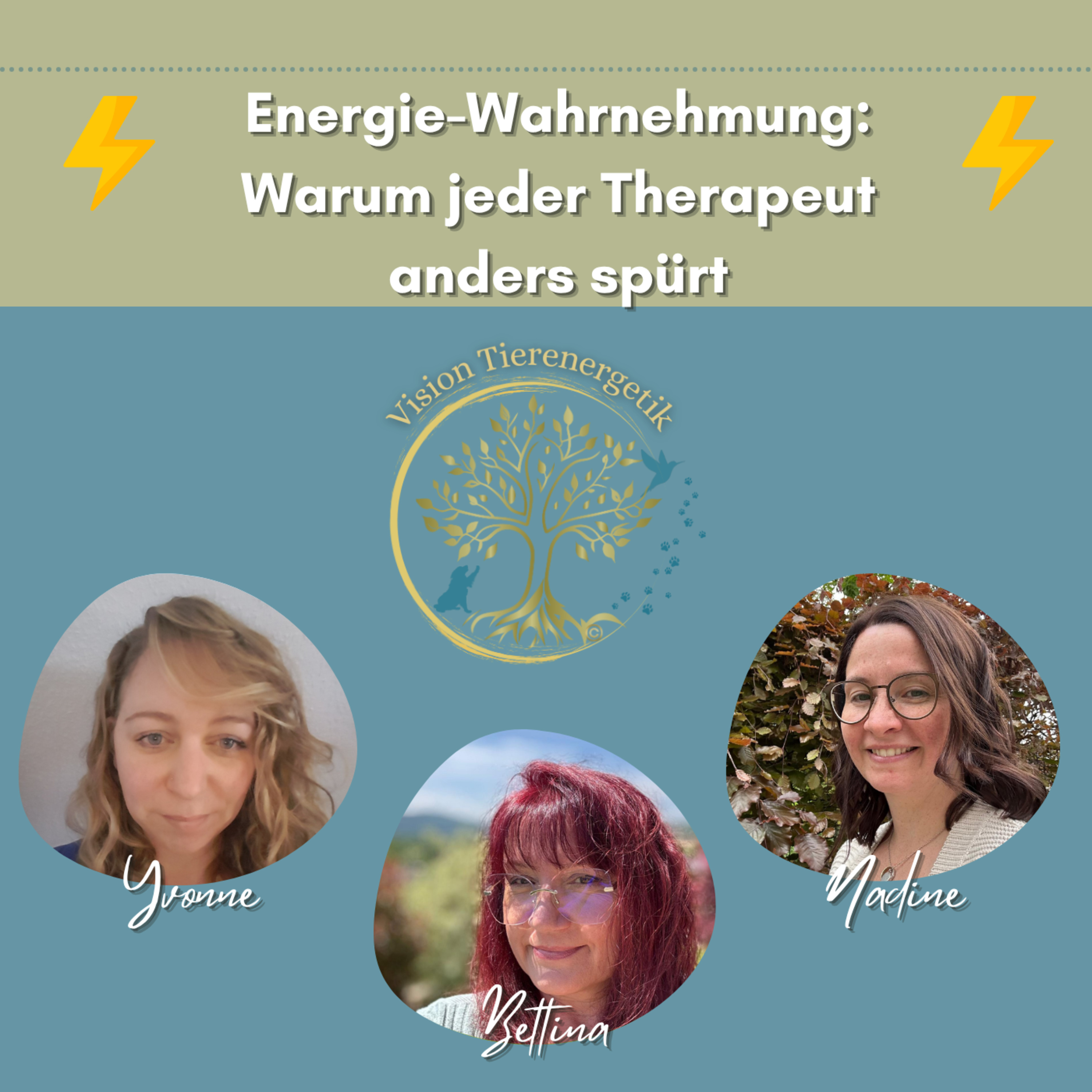 No. 61 Warum Therapeuten Energien unterschiedlich wahrnehmen episode artwork