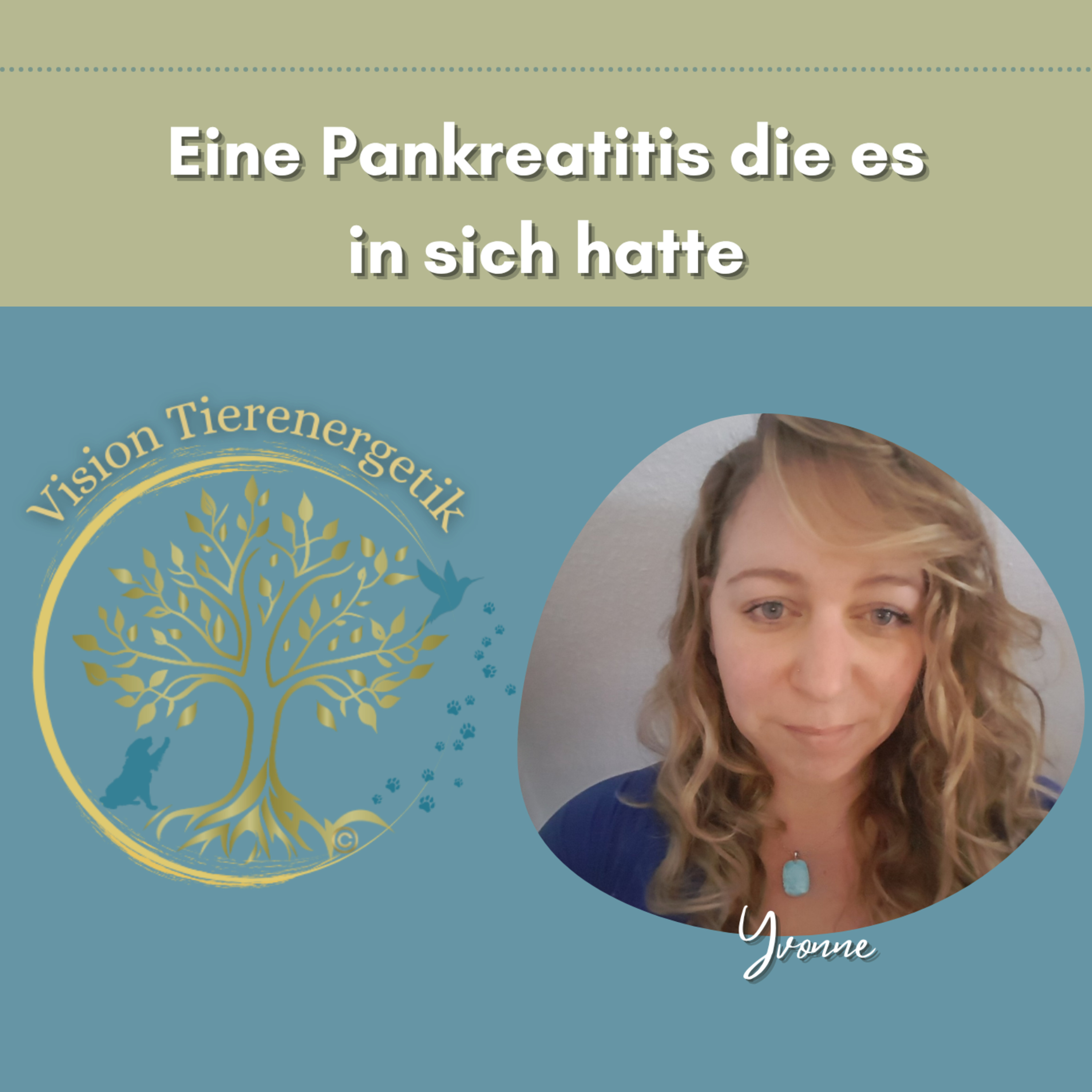 No. 63 Eine Pankreatits die es in sich hatte.... episode artwork