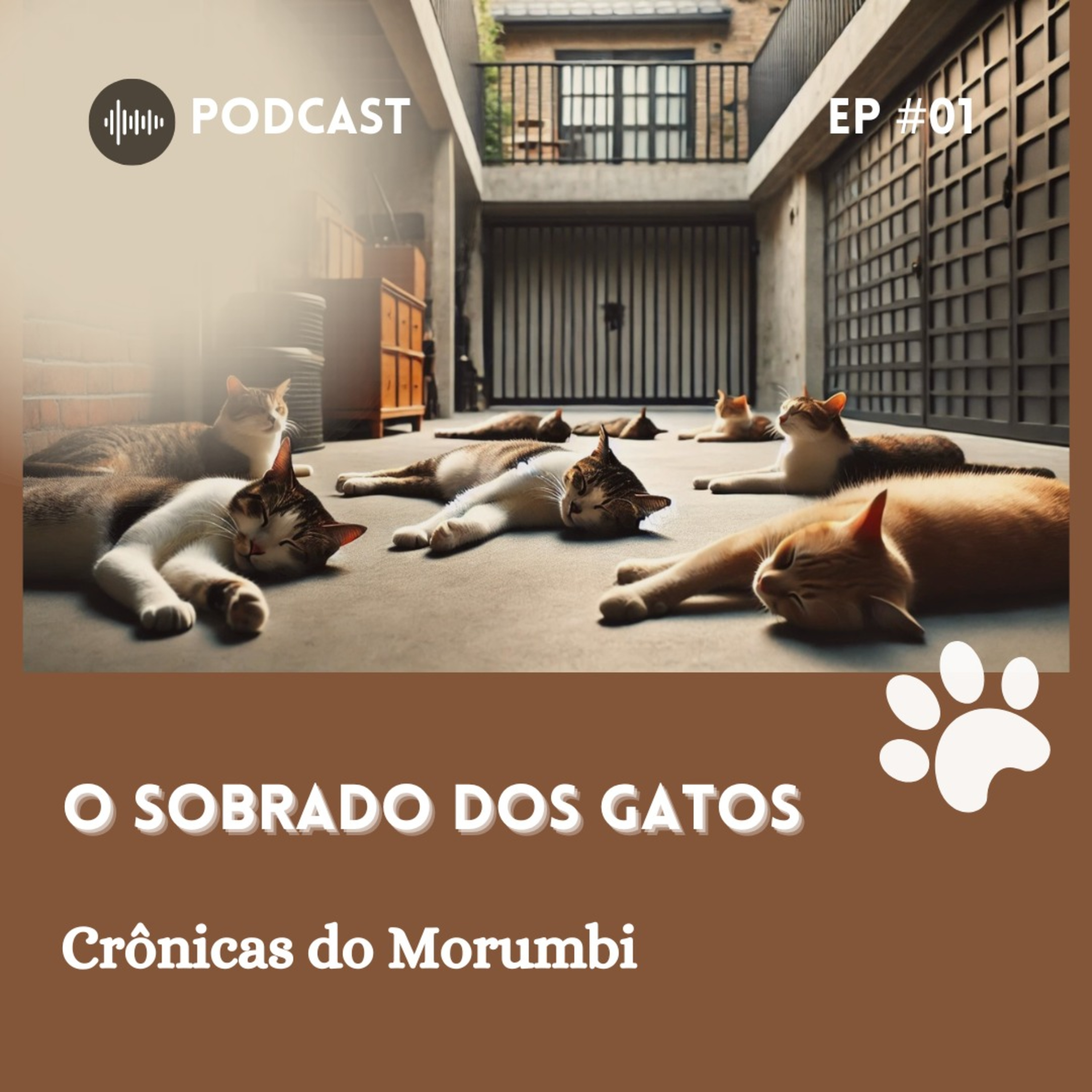 Crônicas do Morumbi