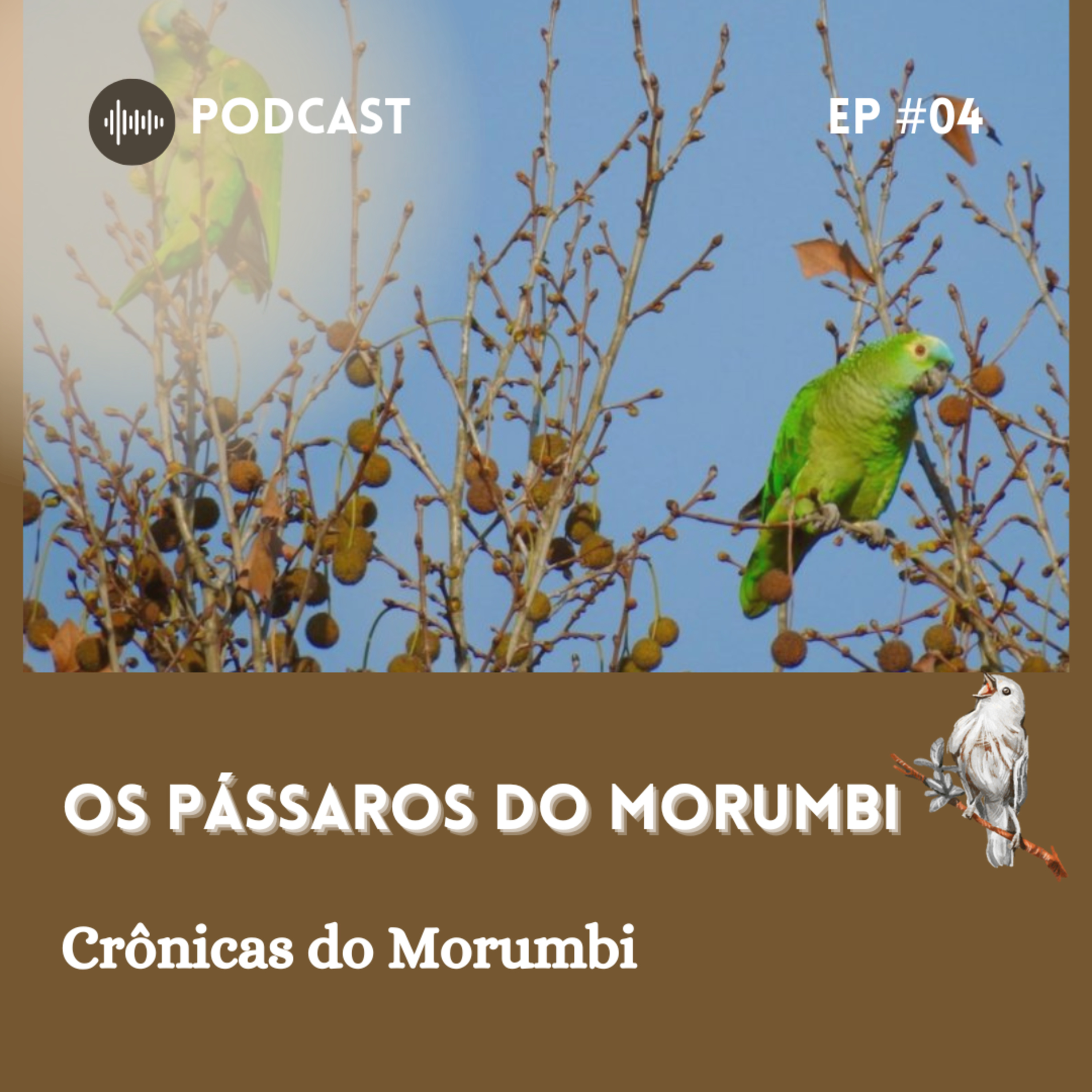 Crônicas do Morumbi