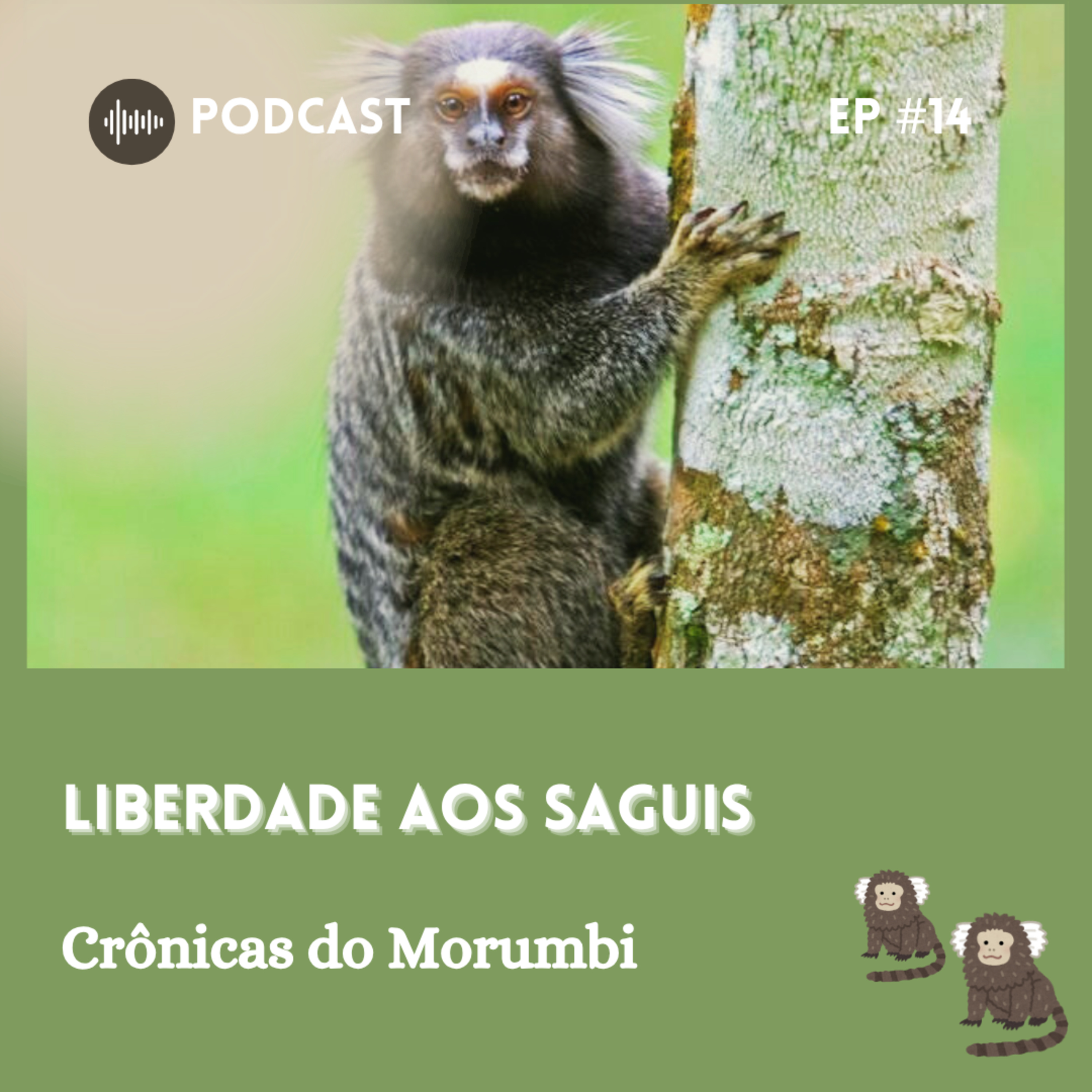 Crônicas do Morumbi