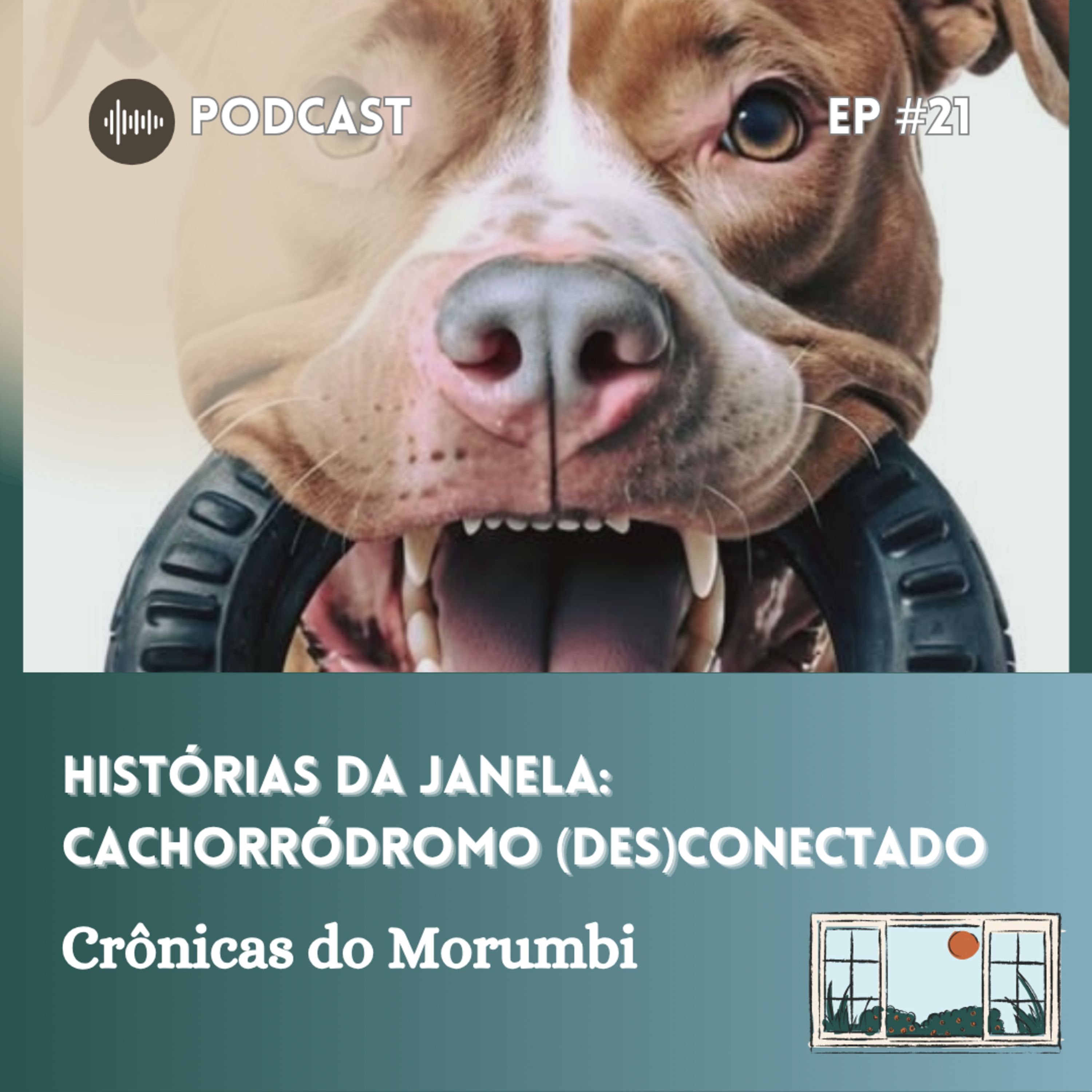 Crônicas do Morumbi