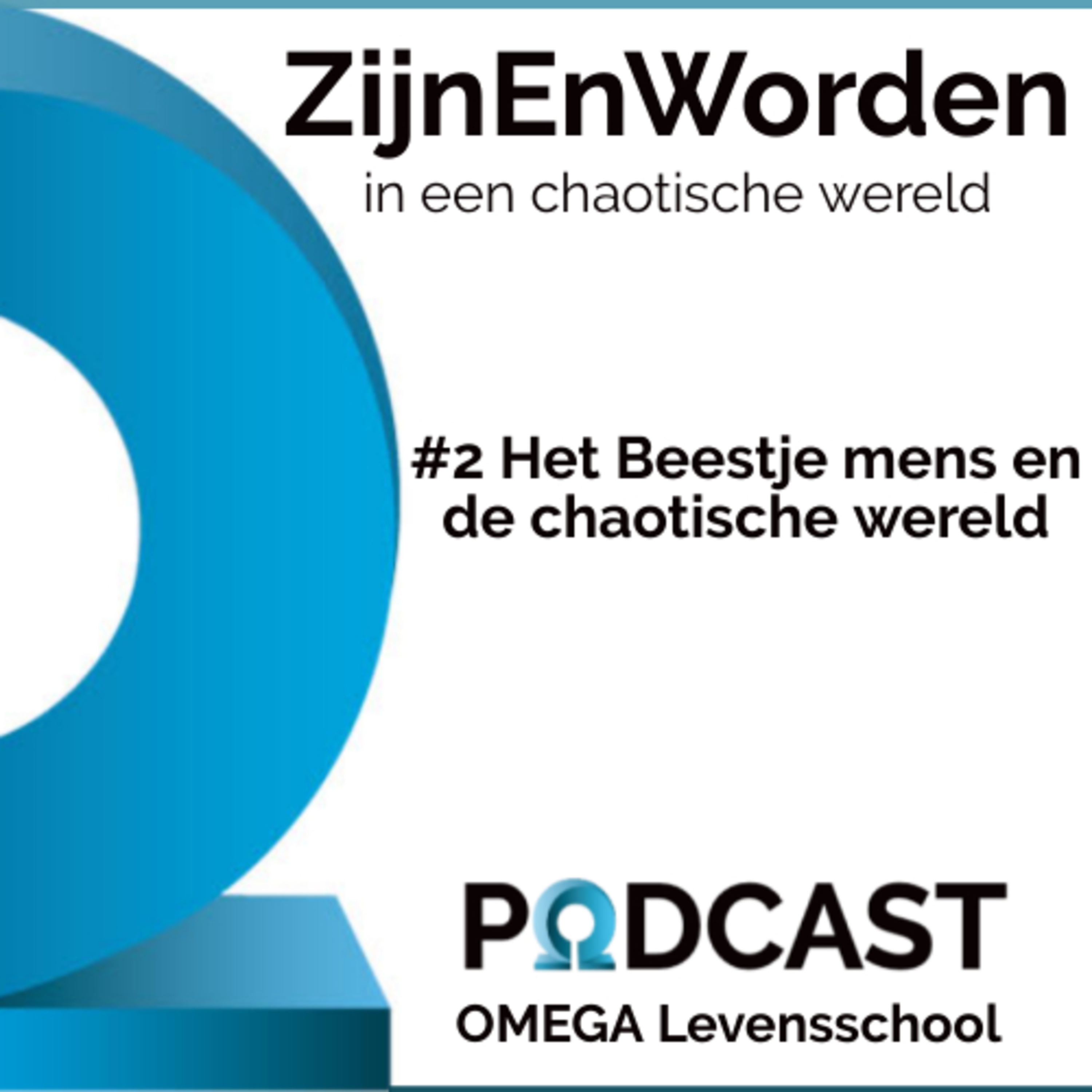 ZijnEnWorden - in een chaotische wereld.