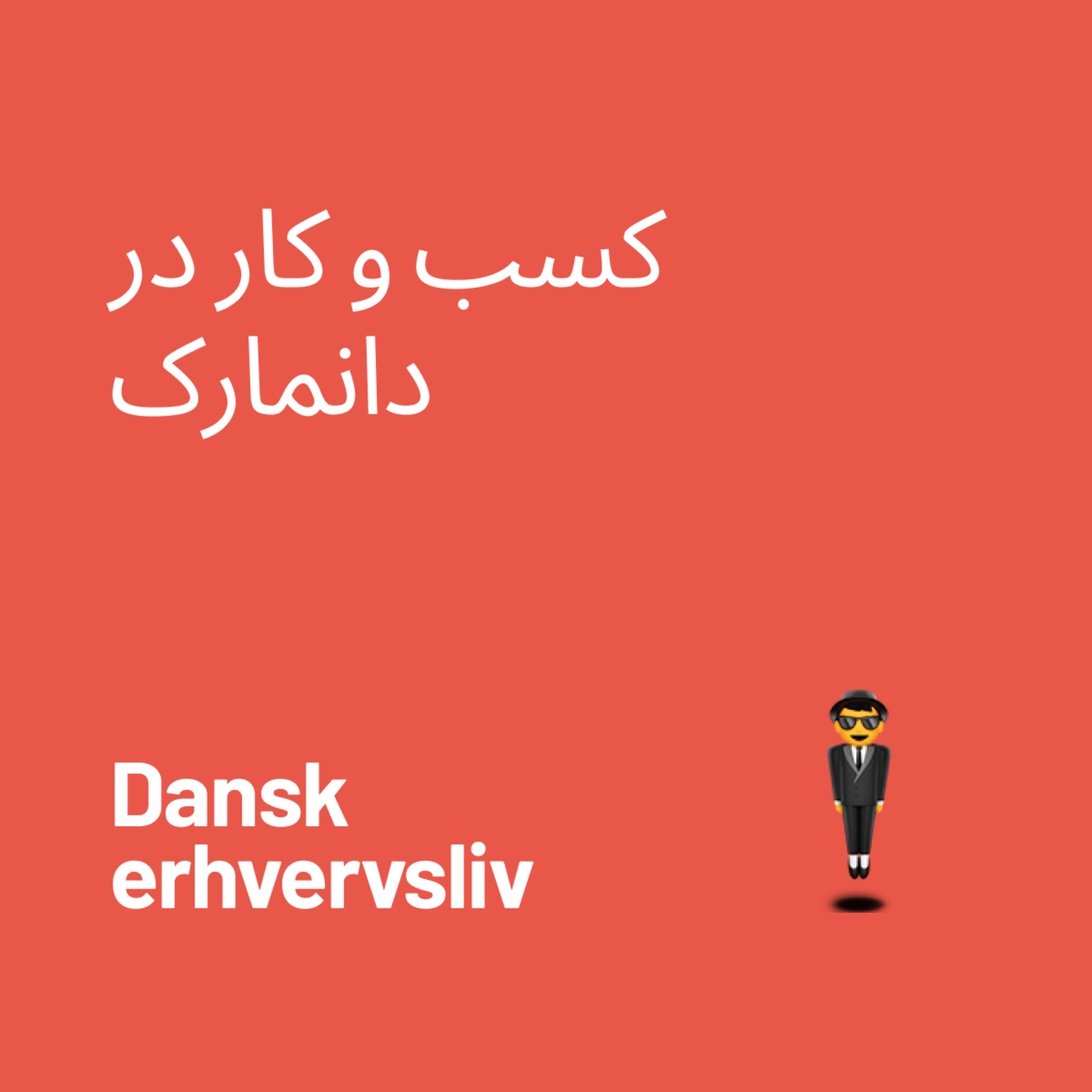 کاور 05-Dansk erhvervsliv - کسب کار در دانمارک
