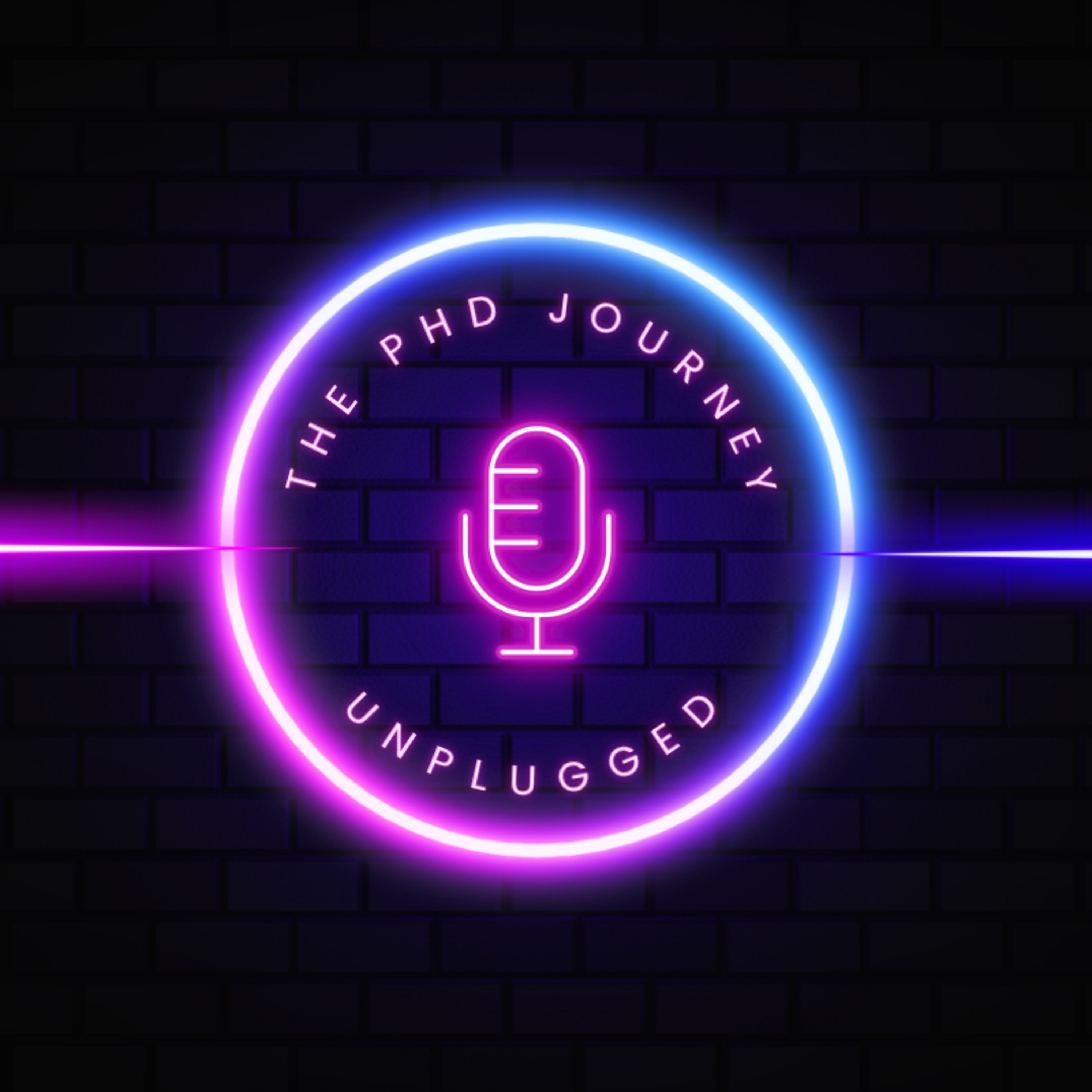 The PhD Journey Unplugged