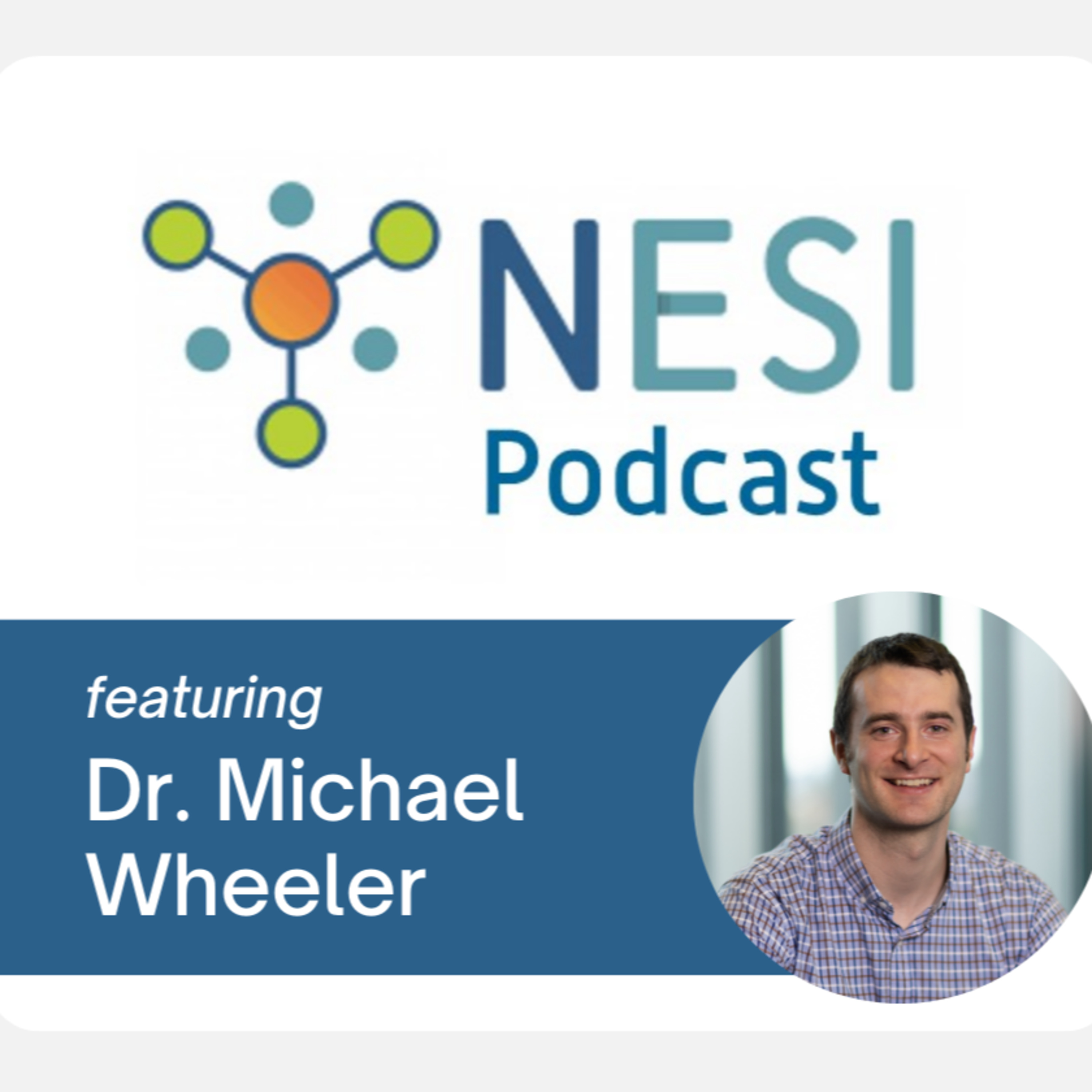 The NESI Podcast