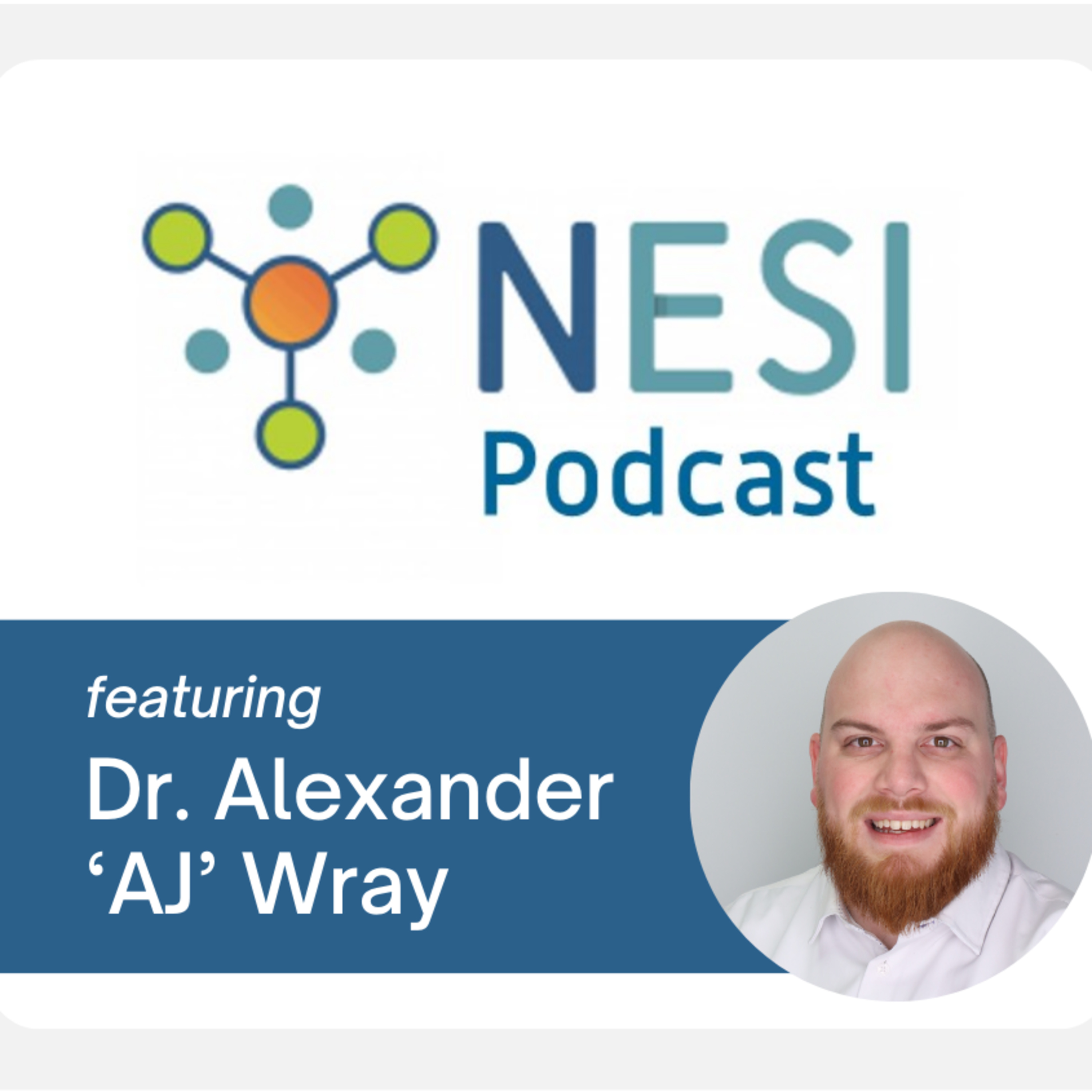 The NESI Podcast