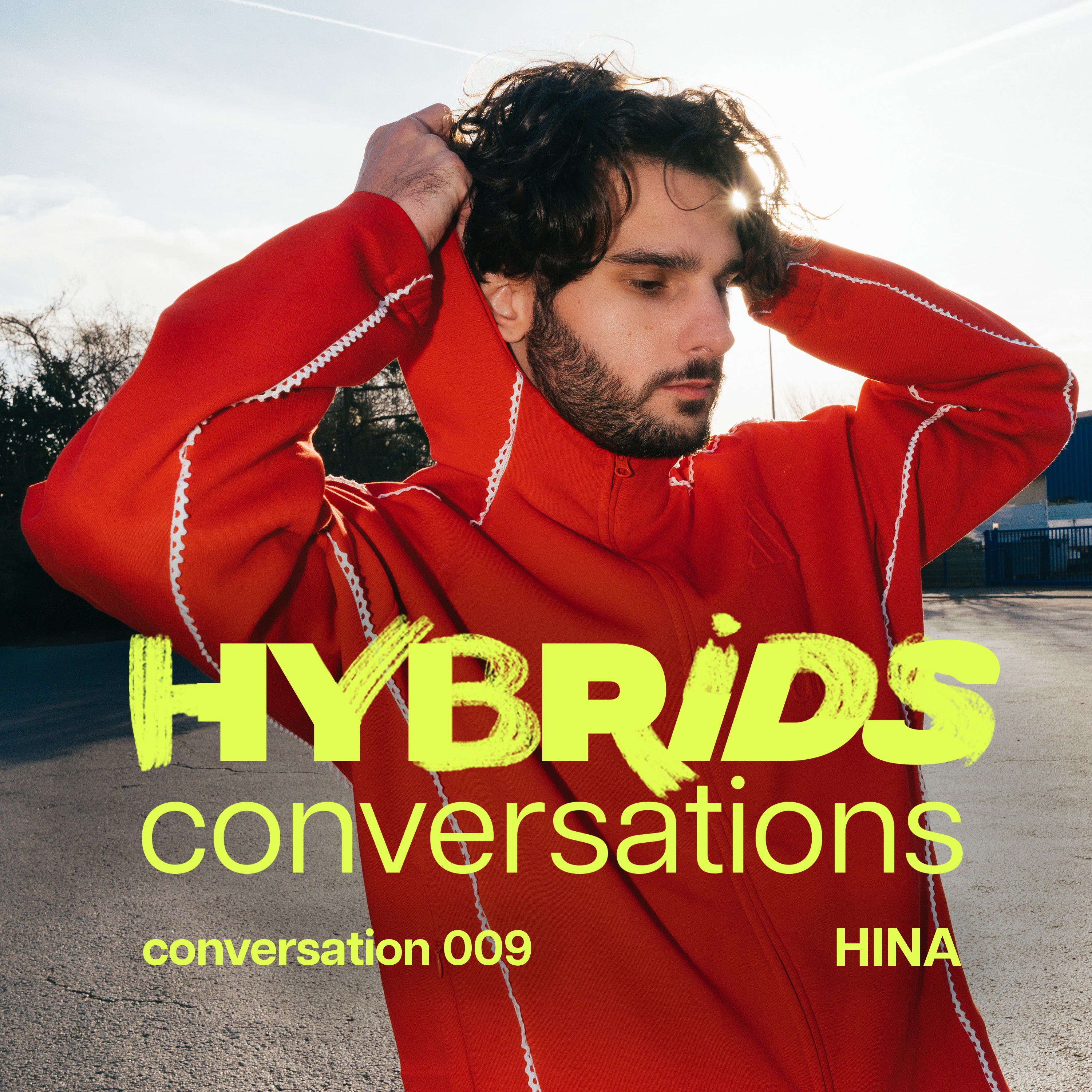 Hybrids Conversations