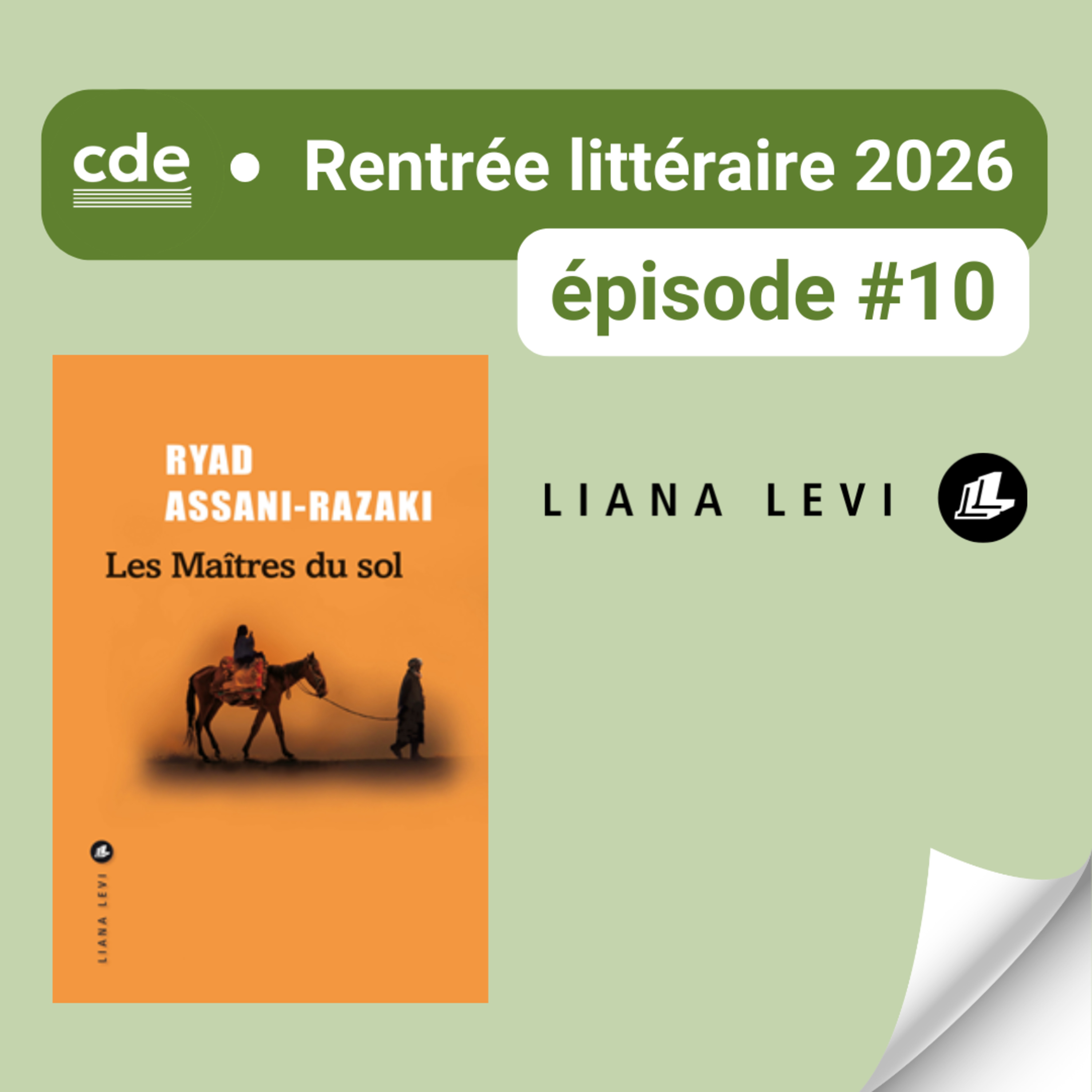 E10 - "Les Maîtres du sol", de Ryad Assani-Razaki - EDITIONS LIANA LEVI