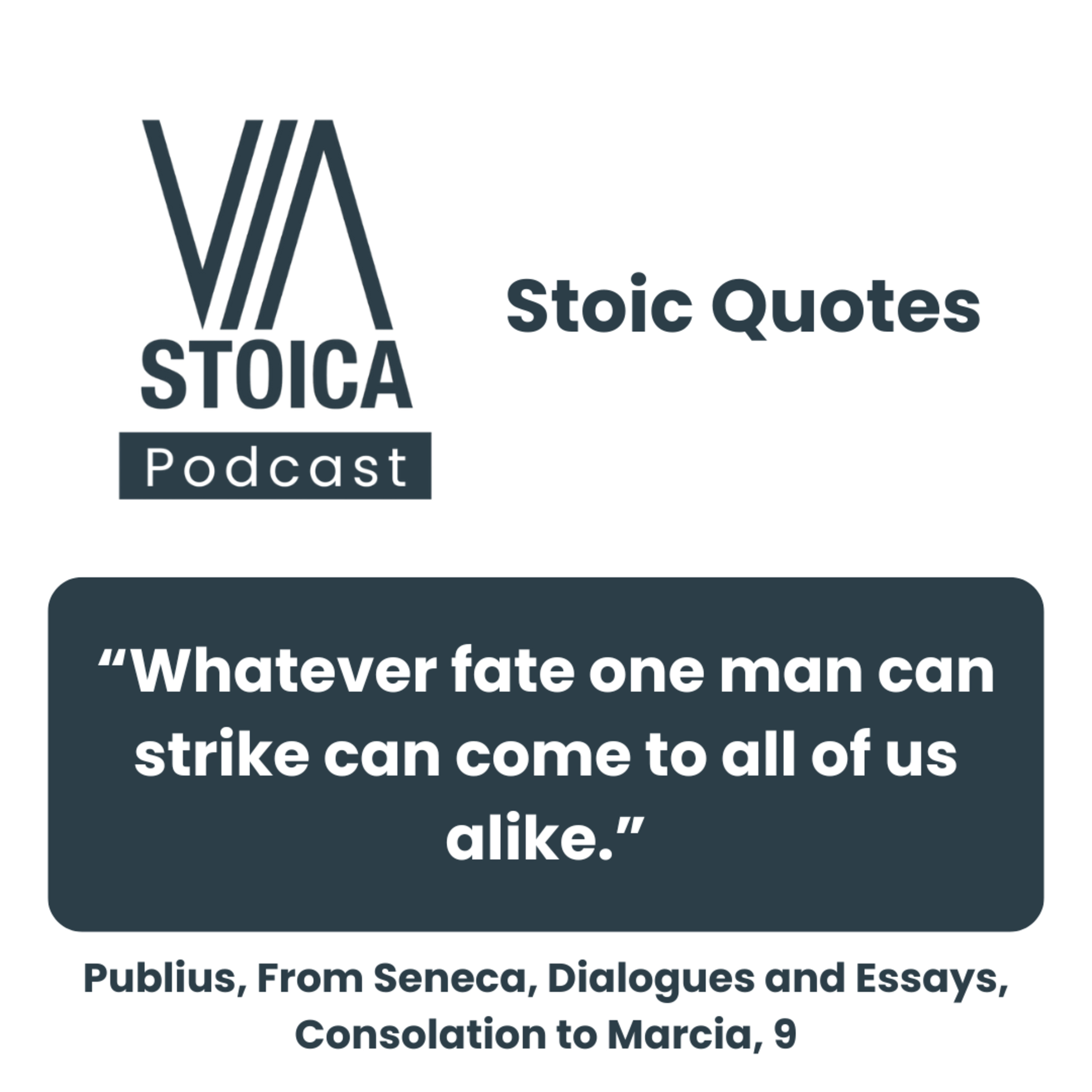 Stoic Quote: Whatever Fate One Man Can Strike – A Lesson from Seneca