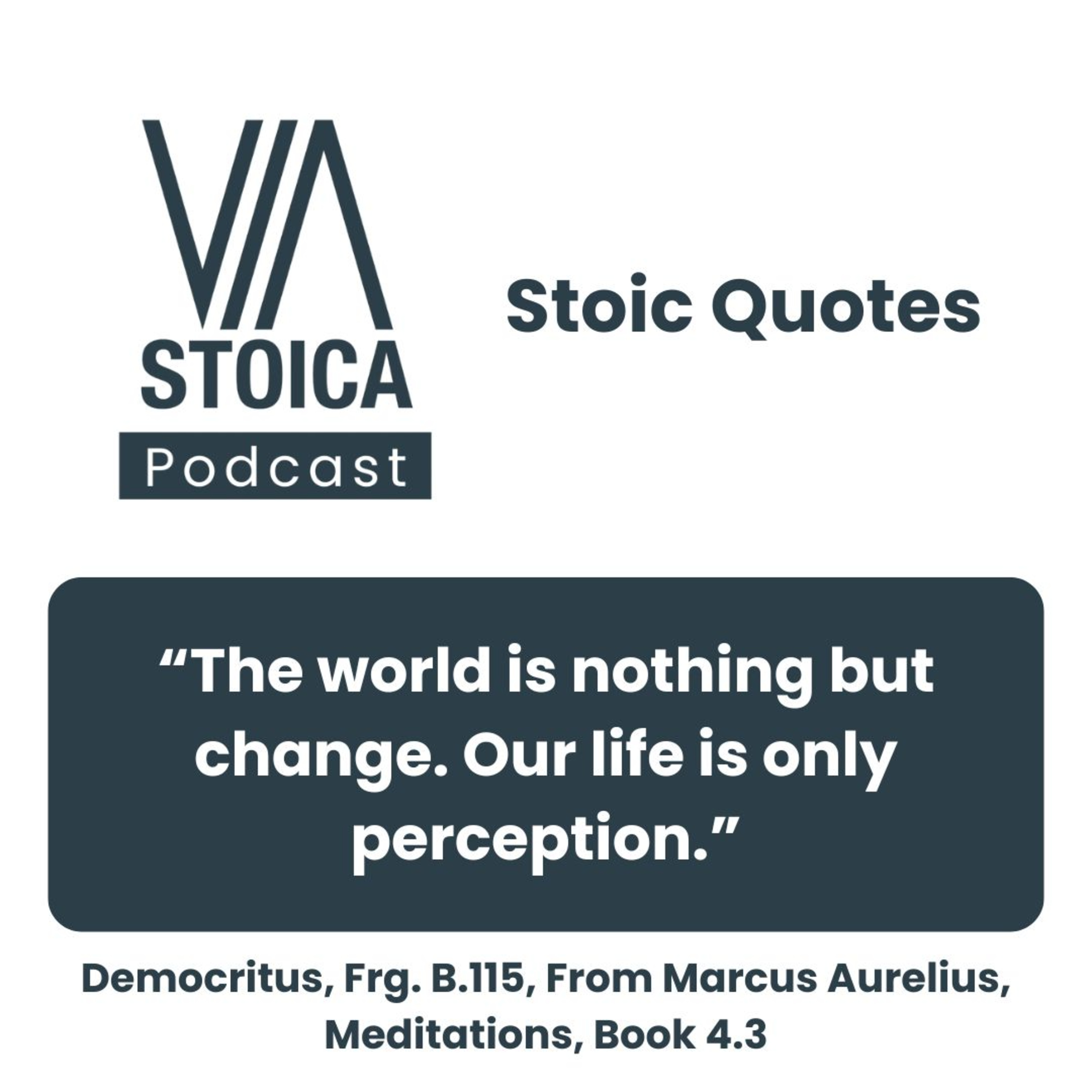 Stoic Quote: “The world is nothing but change. Our life is only perception.”