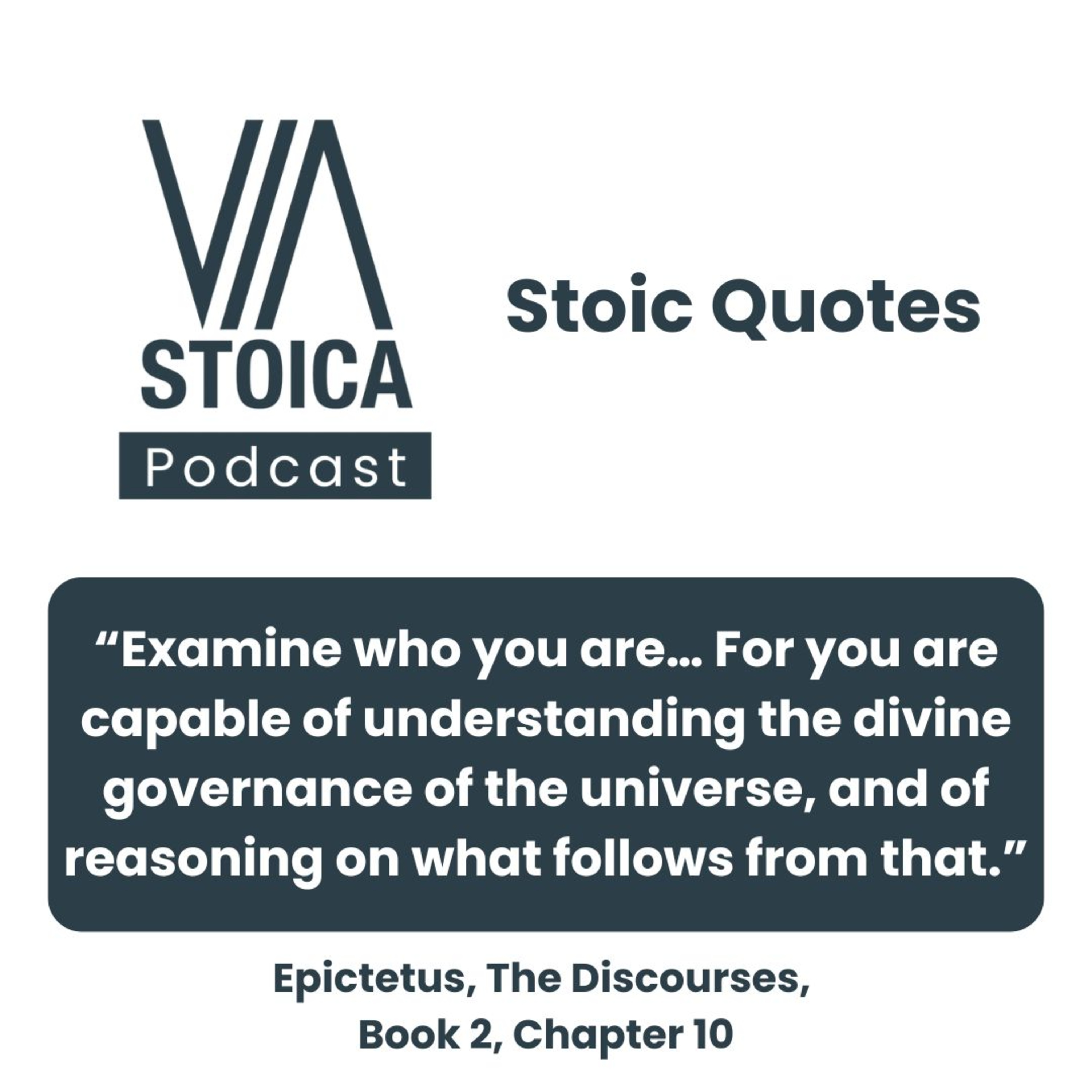 Stoic Quote: Examine Who You Are: Epictetus on the First Step to Wisdom