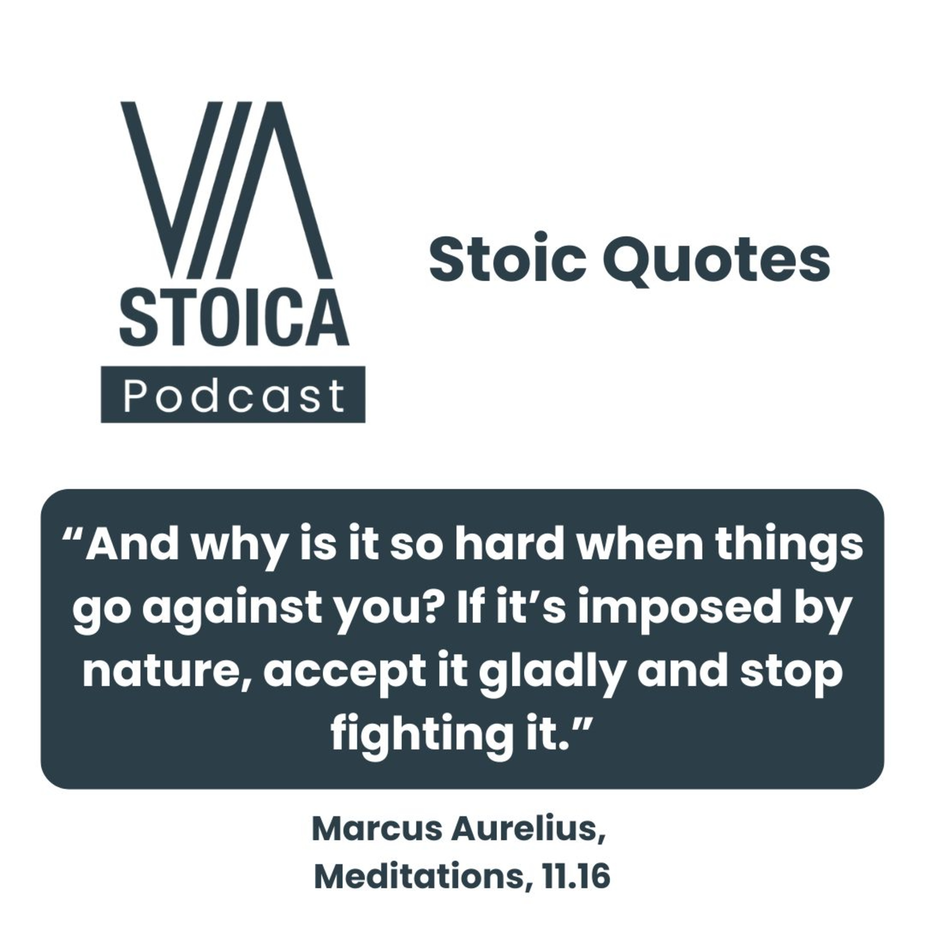 Stoic Quote: Accept What Nature Gives You — And Aim at Your True Good