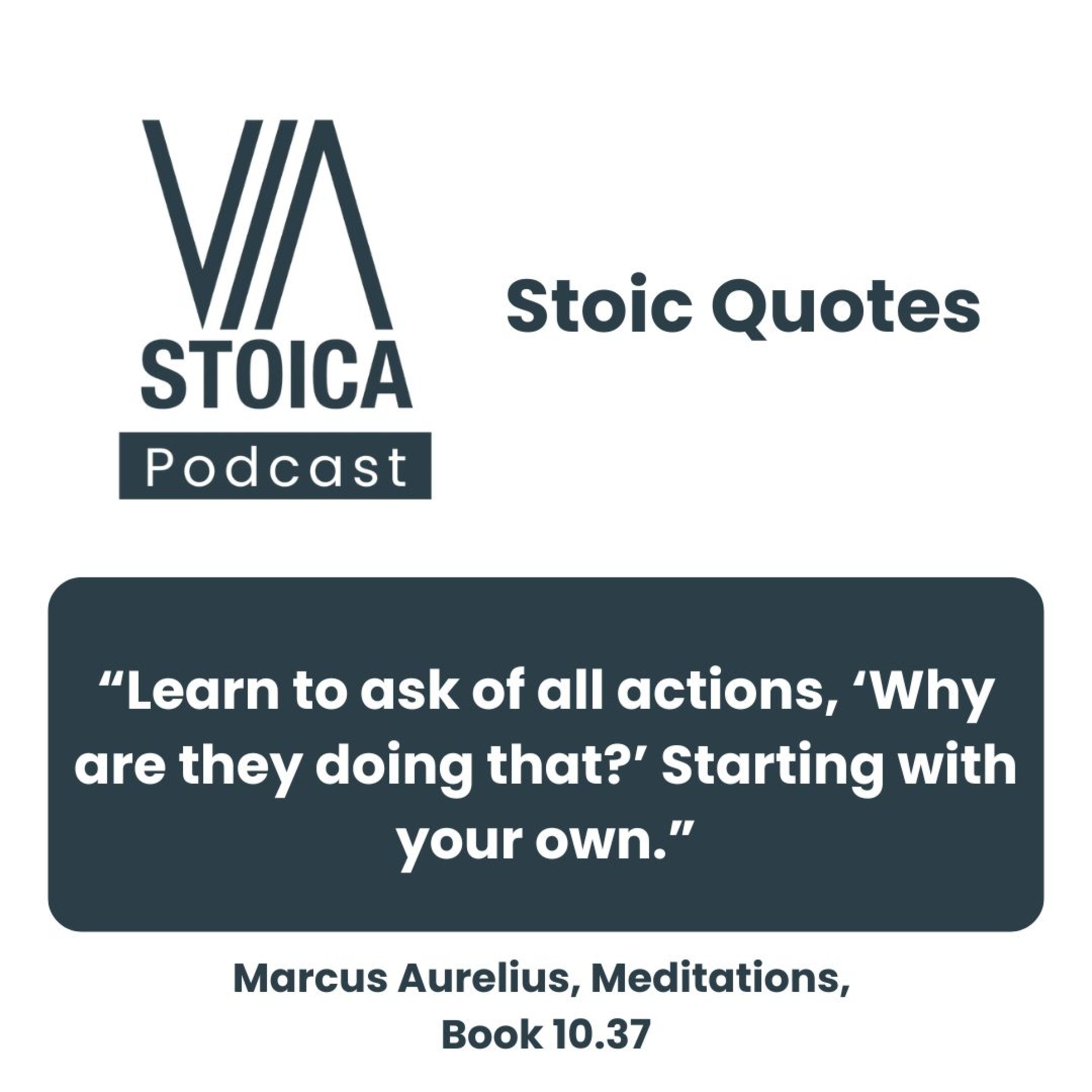 Stoic Quote: “Learn to ask of all actions, ‘Why are they doing that?’ Starting with your own.”