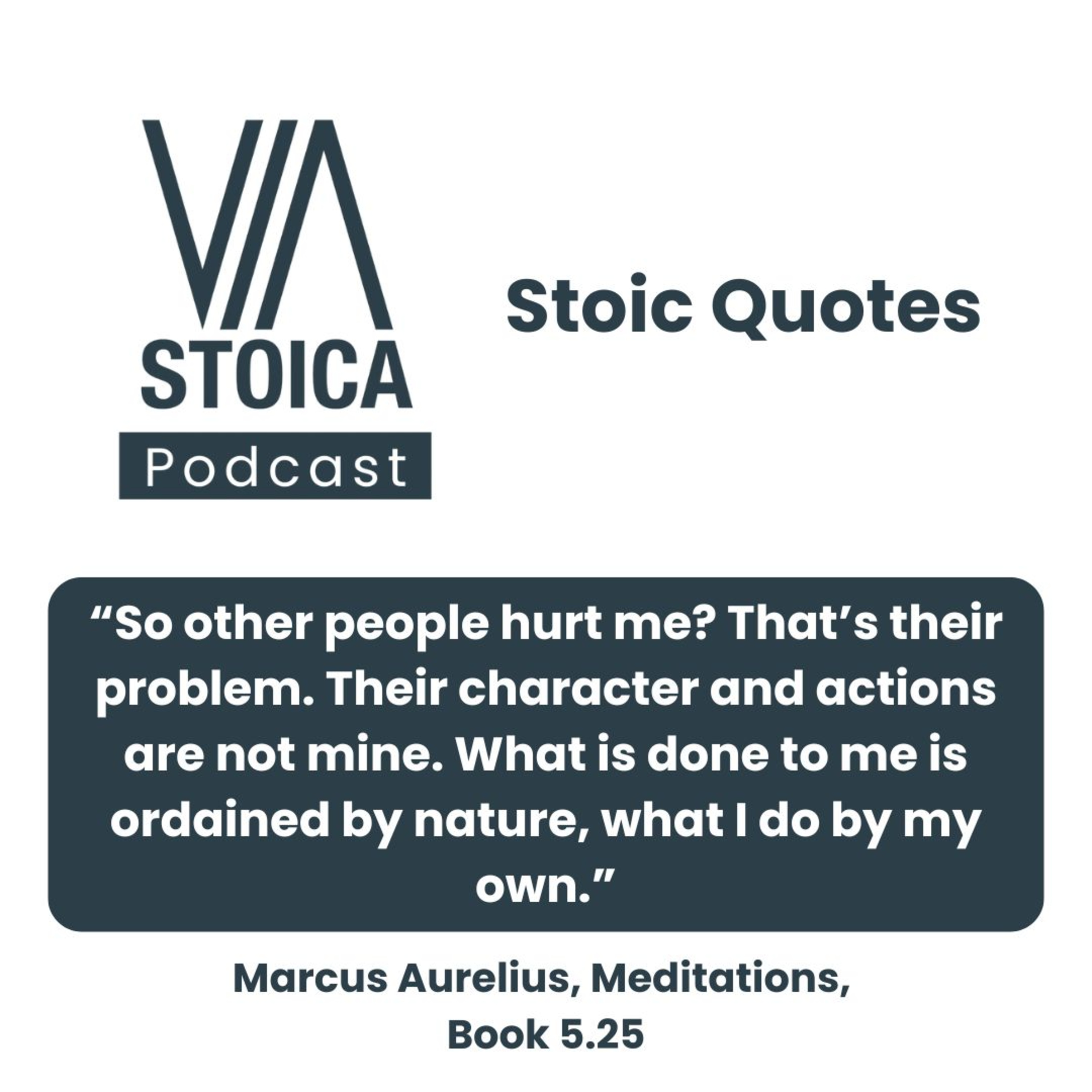 Stoic Quote: So other people hurt me? That’s their problem. episode artwork