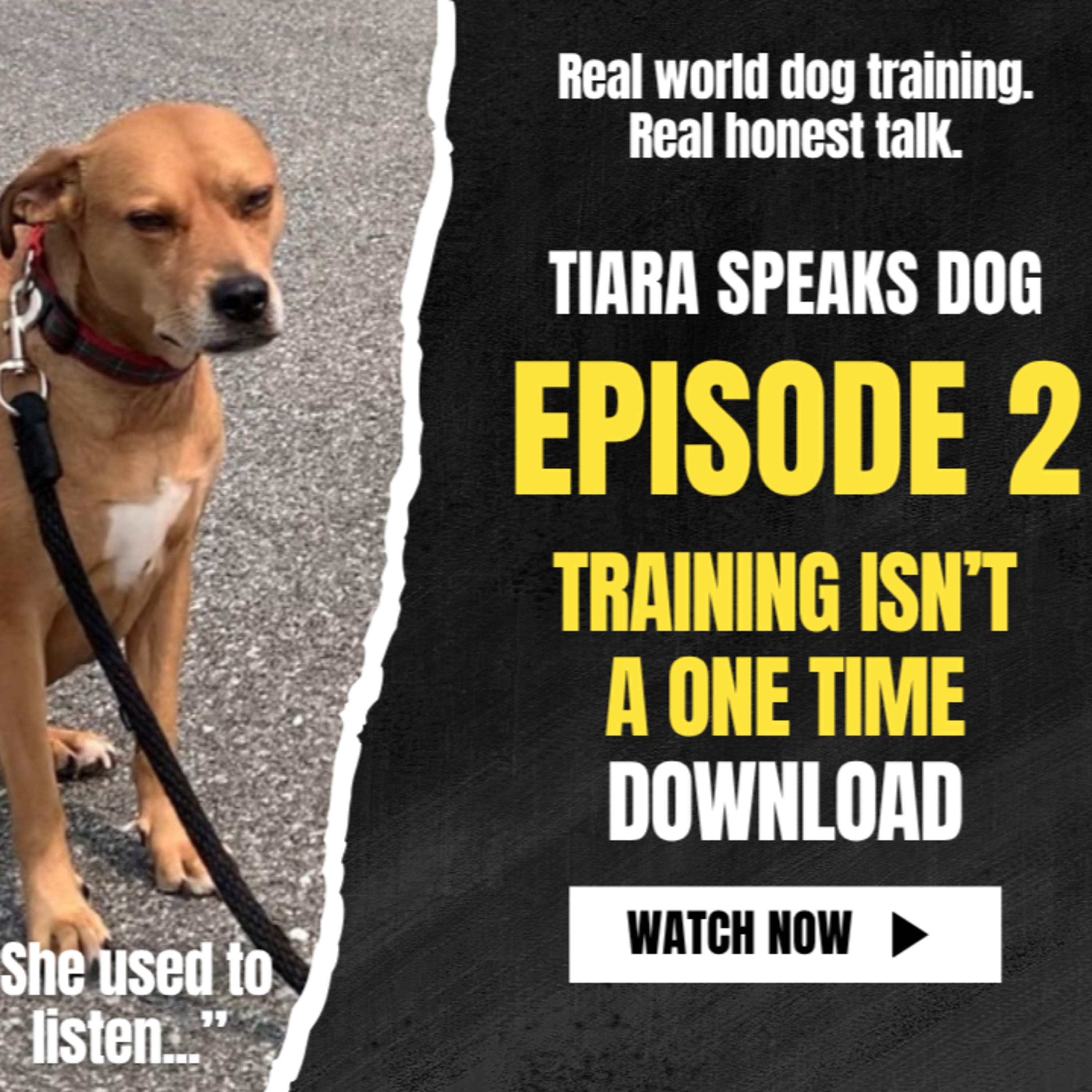 Training Isn't a One-Time Download