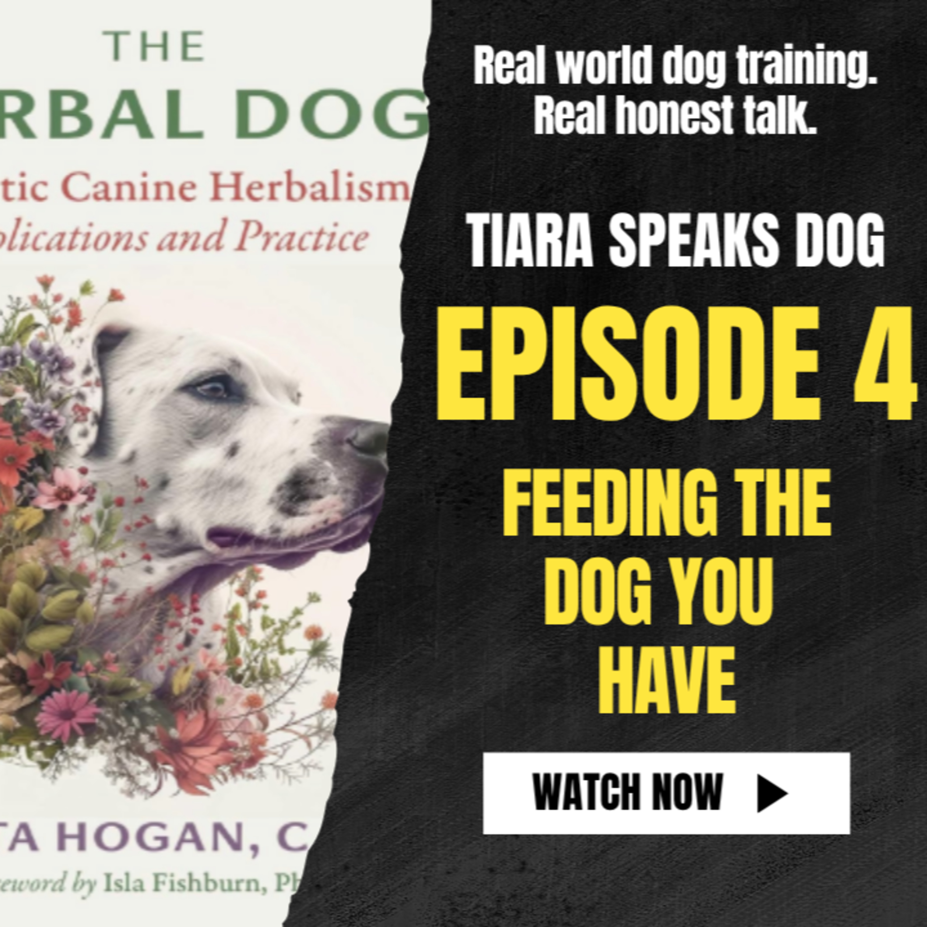 Feeding the Dog You Have